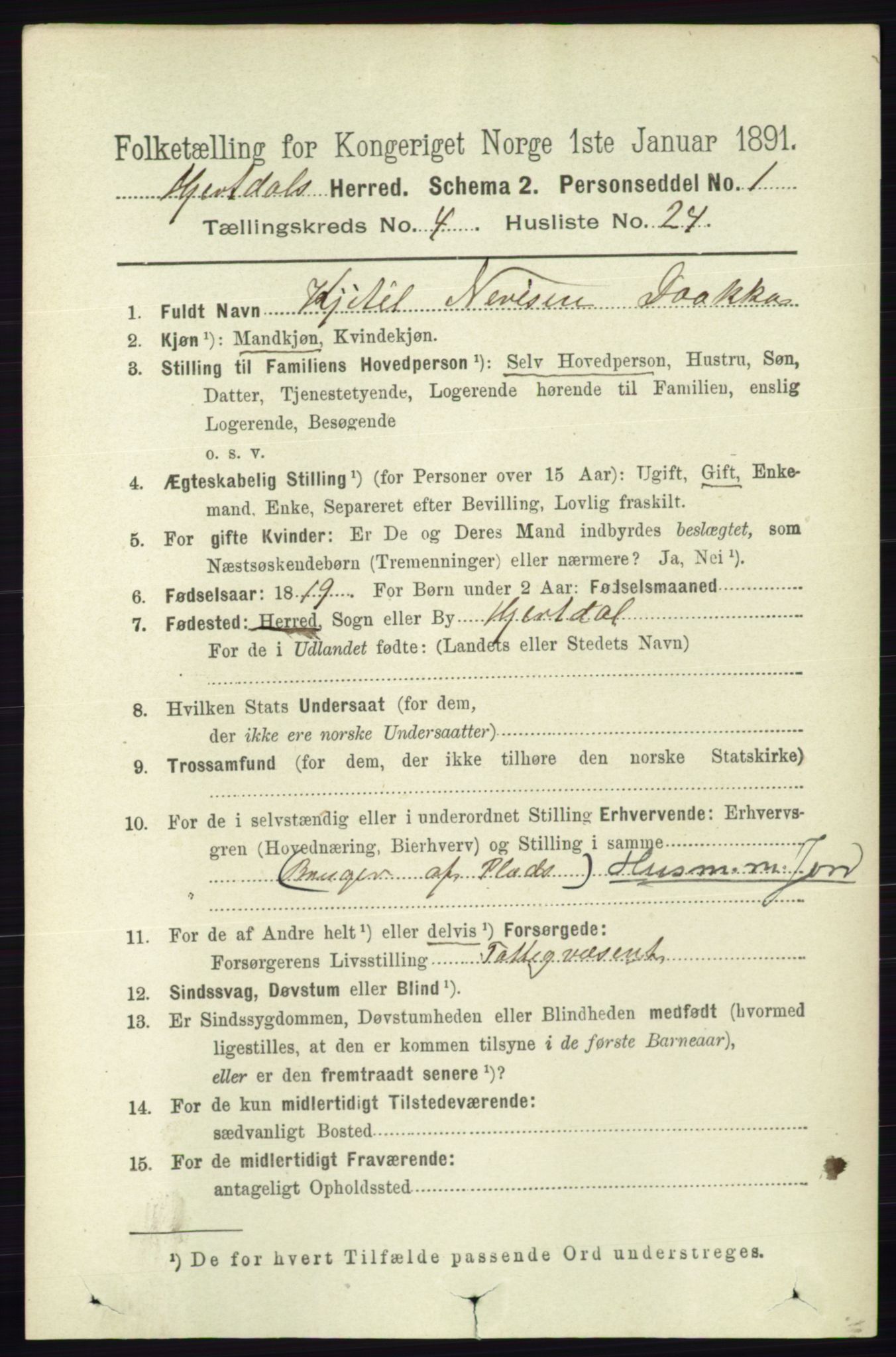 RA, 1891 census for 0827 Hjartdal, 1891, p. 1511