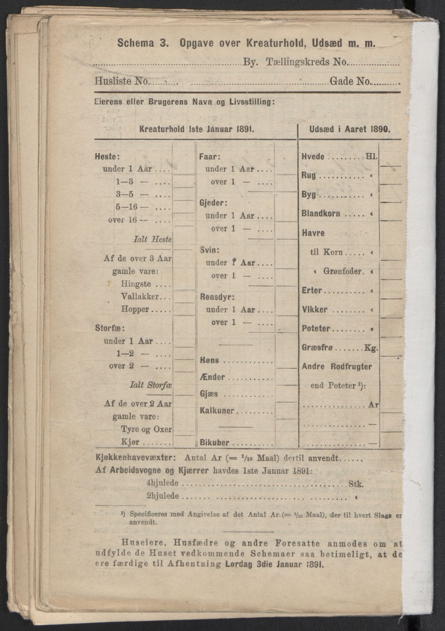 RA, 1891 Census for 1301 Bergen, 1891, p. 4553