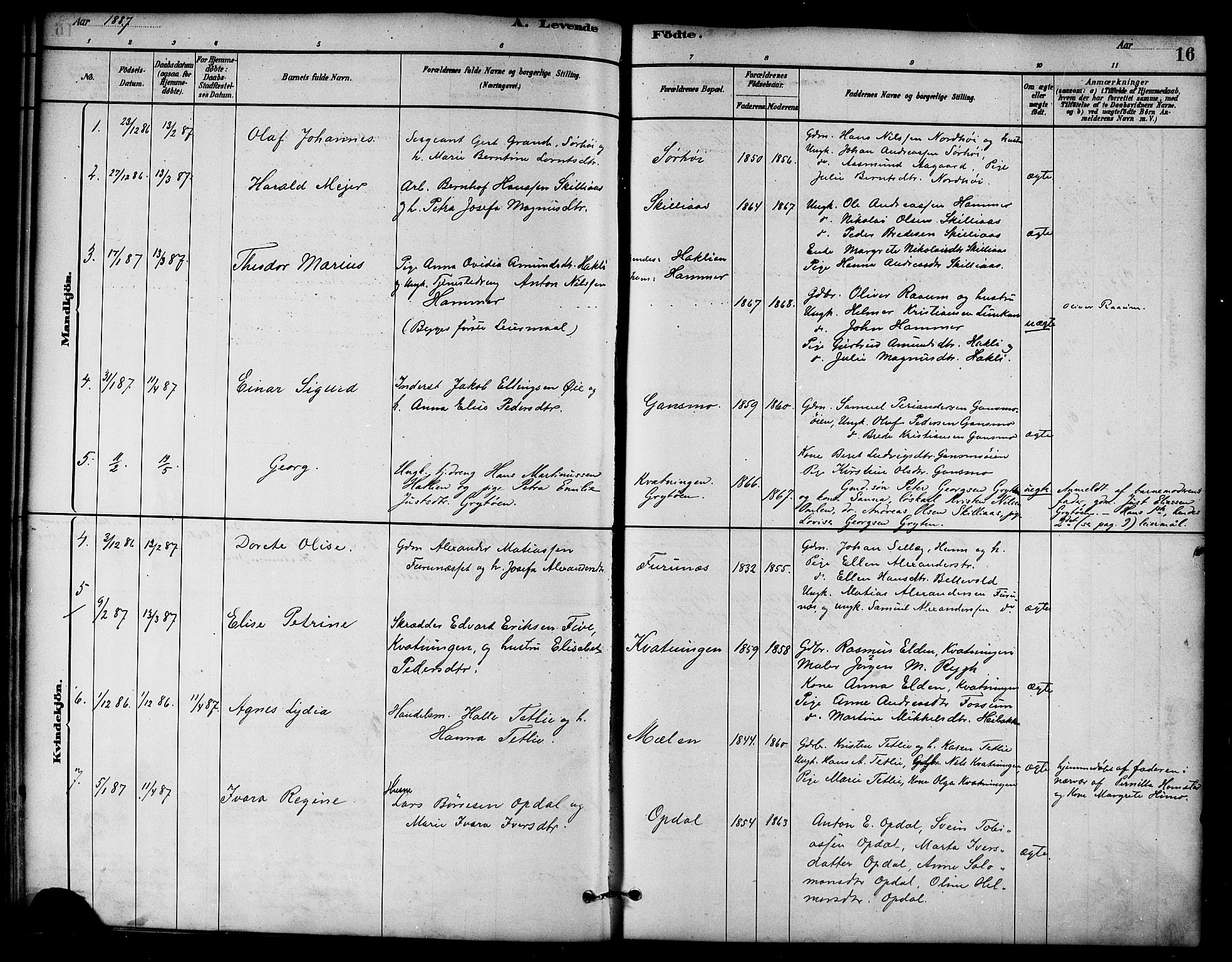 Ministerialprotokoller, klokkerbøker og fødselsregistre - Nord-Trøndelag, SAT/A-1458/766/L0563: Parish register (official) no. 767A01, 1881-1899, p. 16