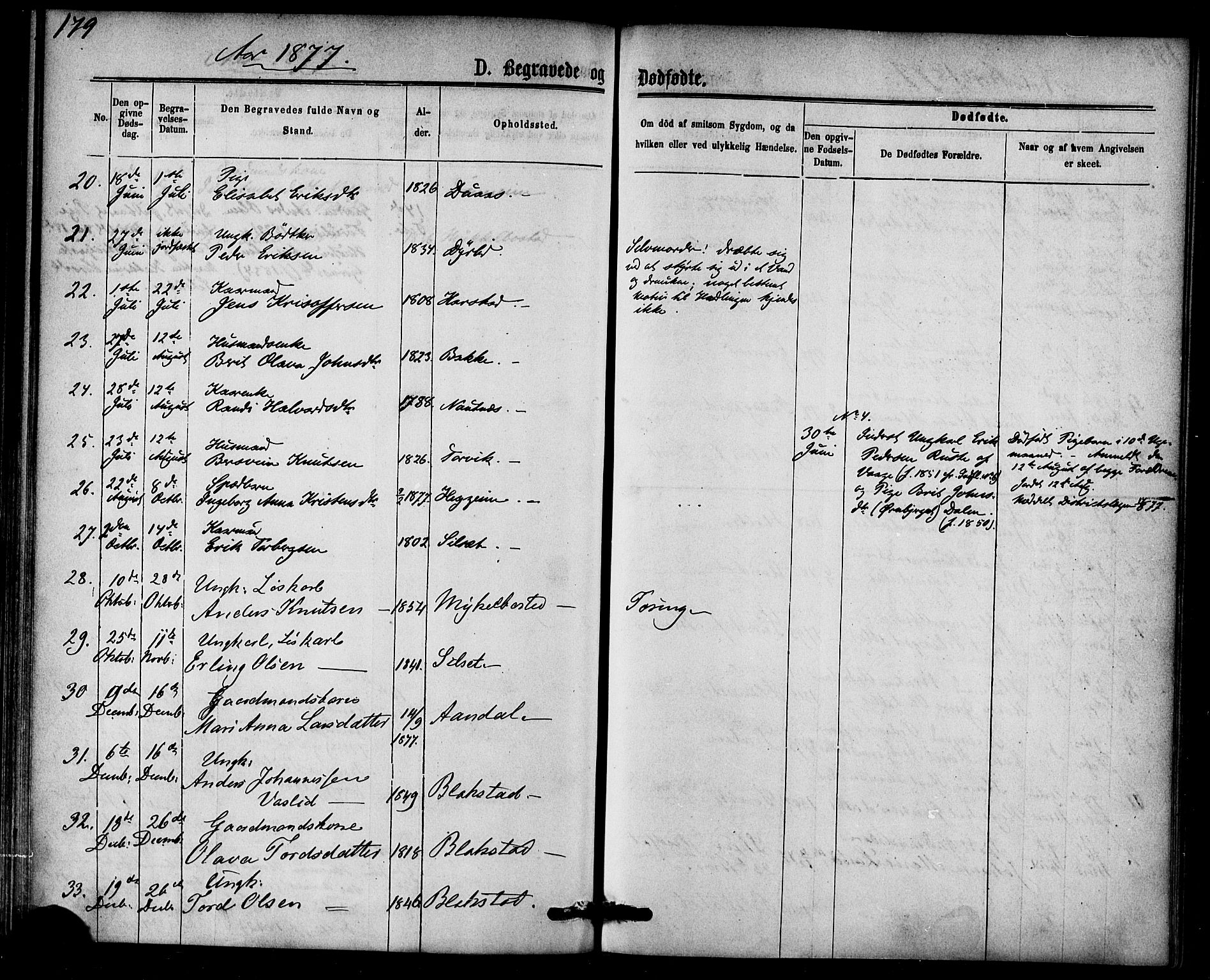 Ministerialprotokoller, klokkerbøker og fødselsregistre - Møre og Romsdal, AV/SAT-A-1454/584/L0966: Parish register (official) no. 584A06, 1869-1878, p. 179