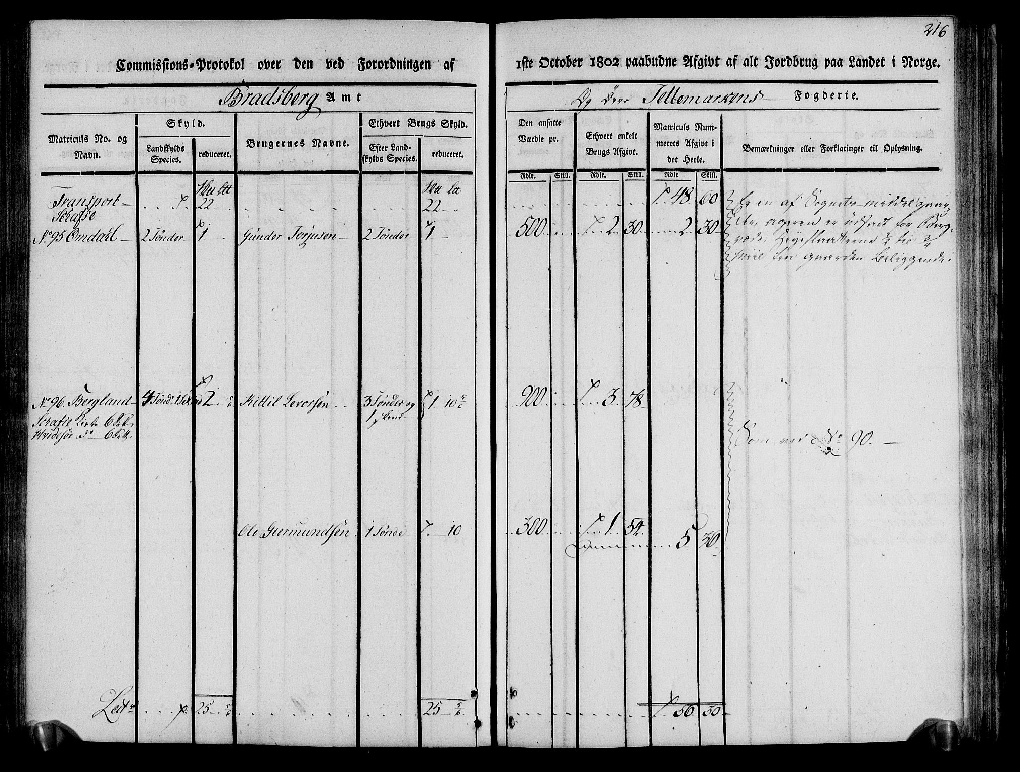 Rentekammeret inntil 1814, Realistisk ordnet avdeling, AV/RA-EA-4070/N/Ne/Nea/L0075: Øvre Telemarken fogderi. Kommisjonsprotokoll for fogderiets vestre del - Kviteseid, Vinje, Moland [):Fyresdal] og Lårdal prestegjeld., 1803, p. 218