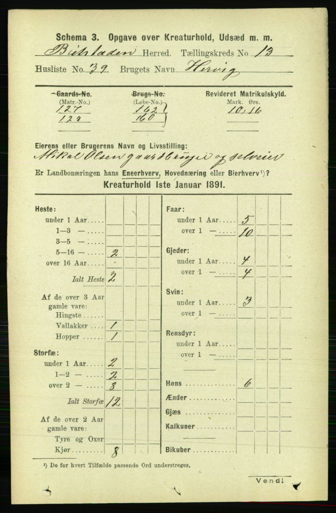 RA, 1891 census for 1727 Beitstad, 1891, p. 6543