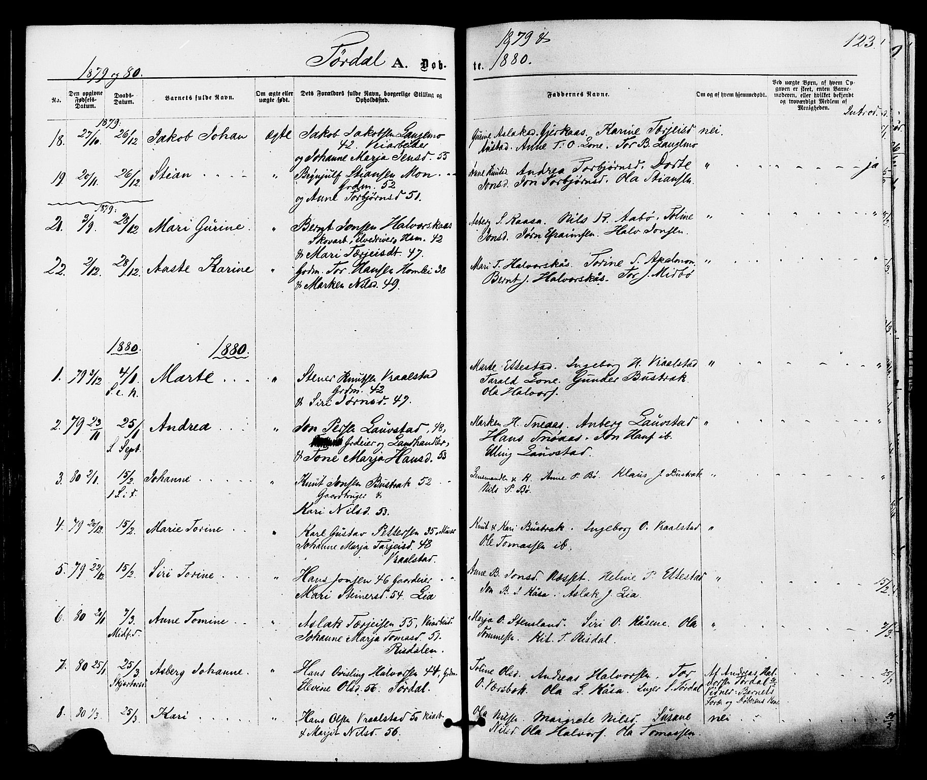 Drangedal kirkebøker, SAKO/A-258/F/Fa/L0009: Parish register (official) no. 9 /2, 1872-1884, p. 123