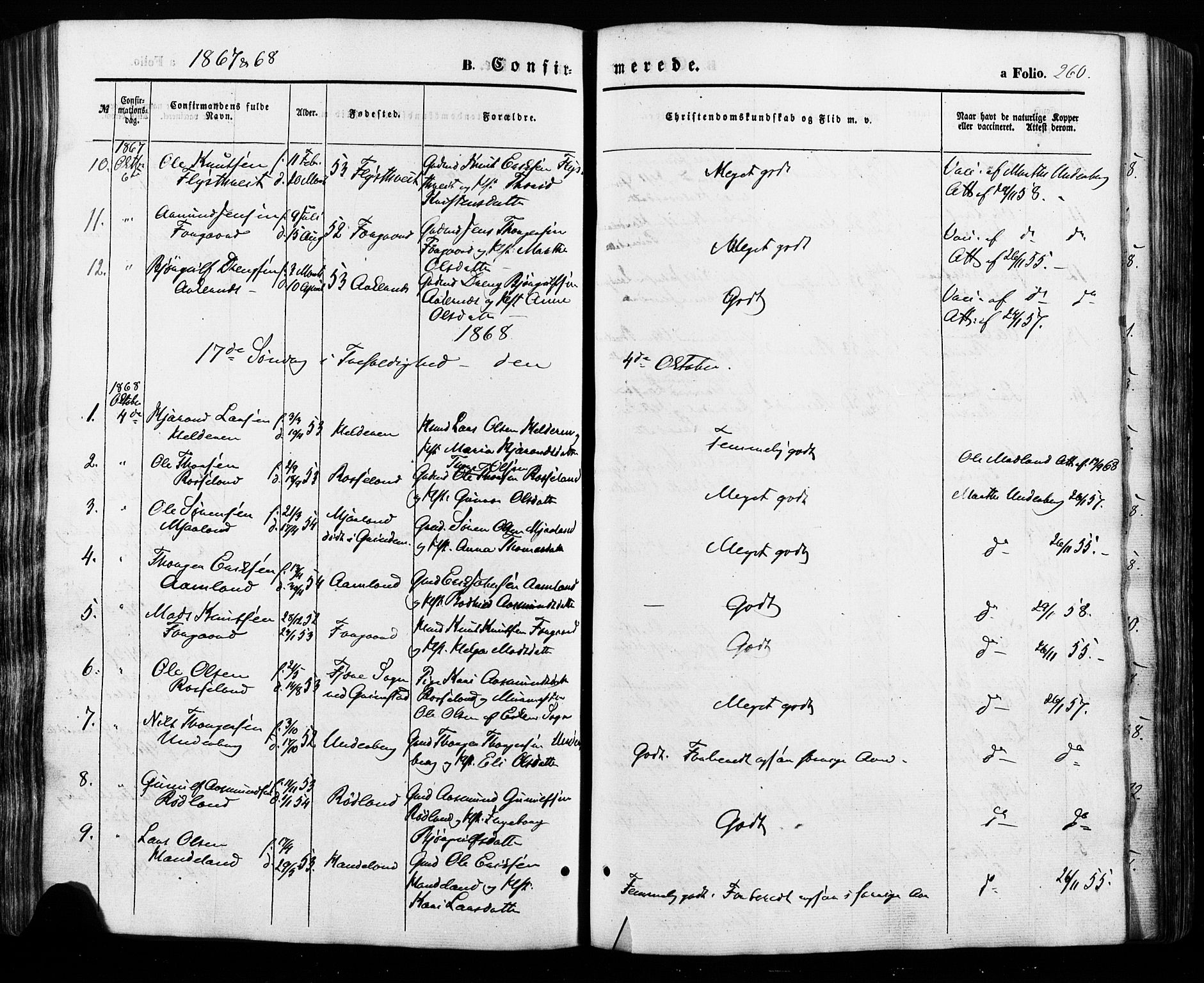 Åseral sokneprestkontor, SAK/1111-0051/F/Fa/L0002: Parish register (official) no. A 2, 1854-1884, p. 260