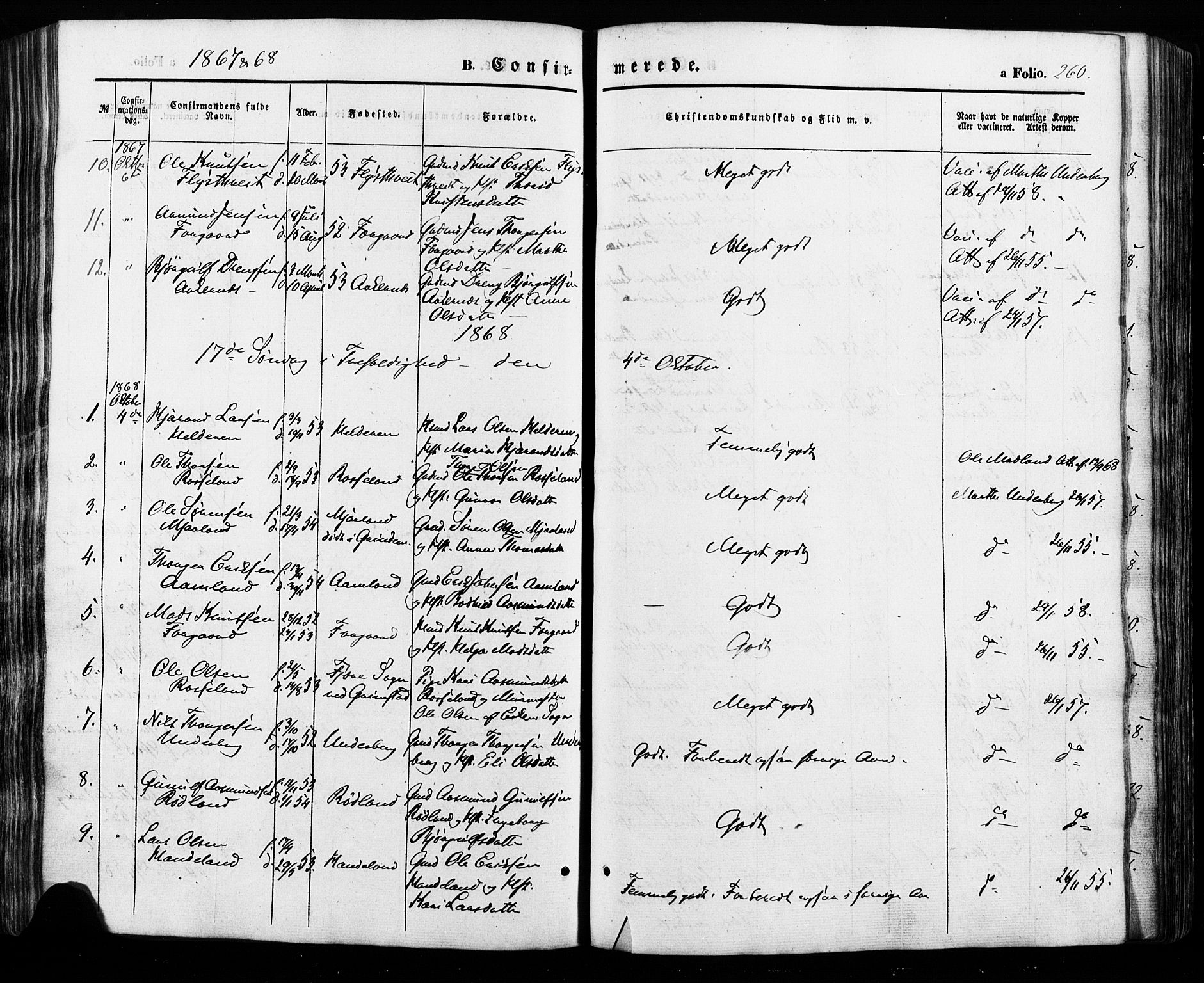 Åseral sokneprestkontor, AV/SAK-1111-0051/F/Fa/L0002: Parish register (official) no. A 2, 1854-1884, p. 260