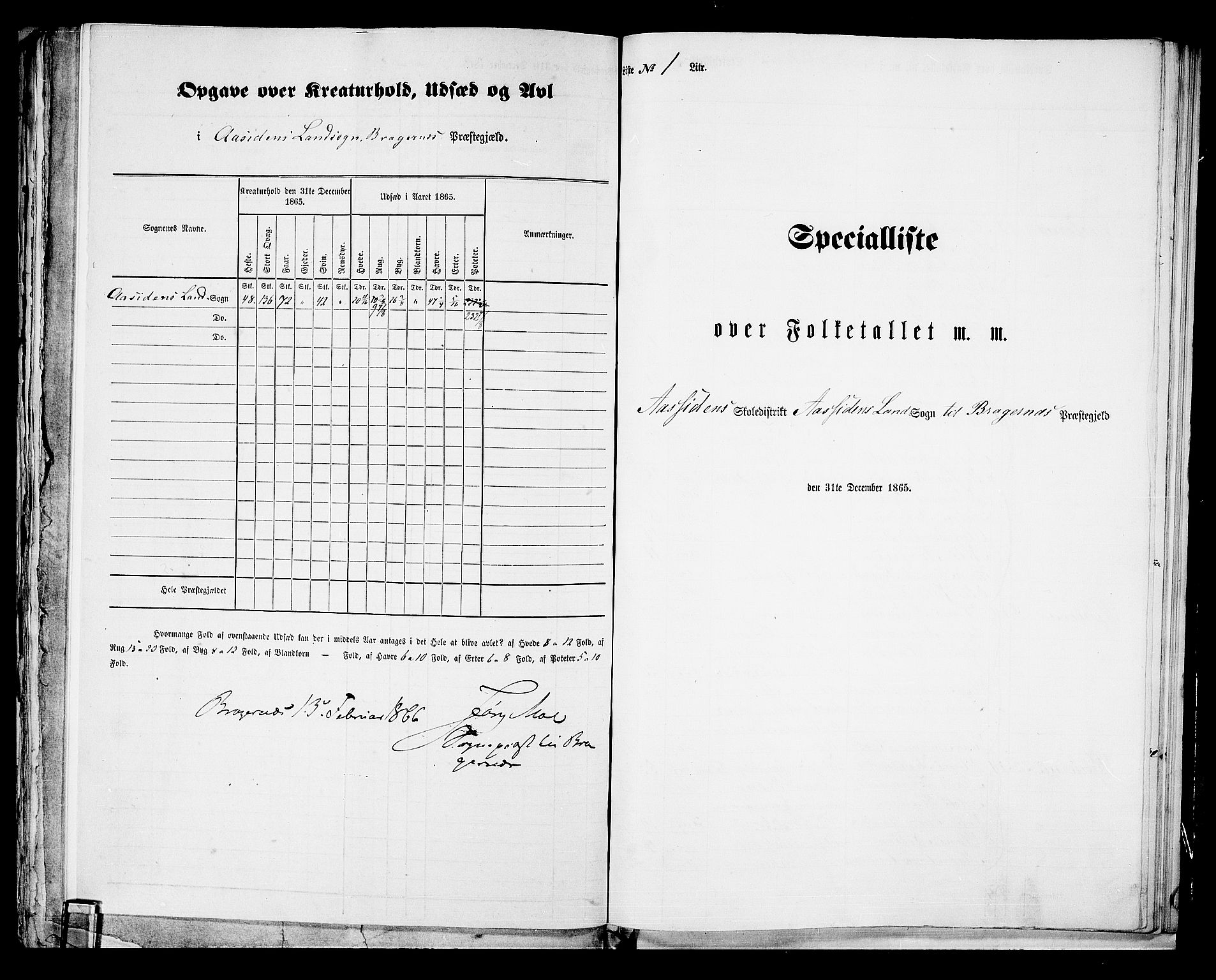 RA, 1865 census for Bragernes/Åssiden, 1865, p. 3