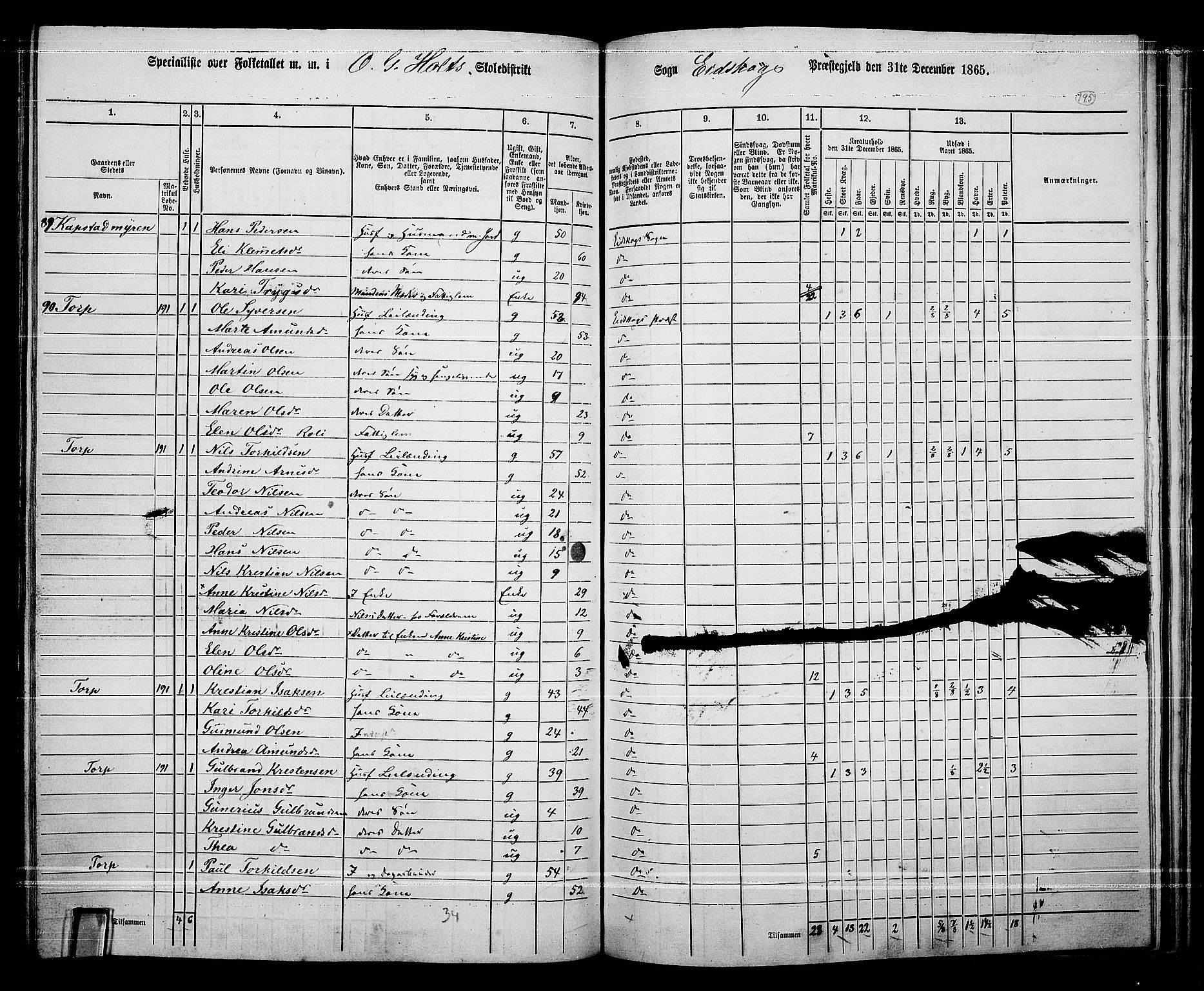 RA, 1865 census for Eidskog, 1865, p. 173