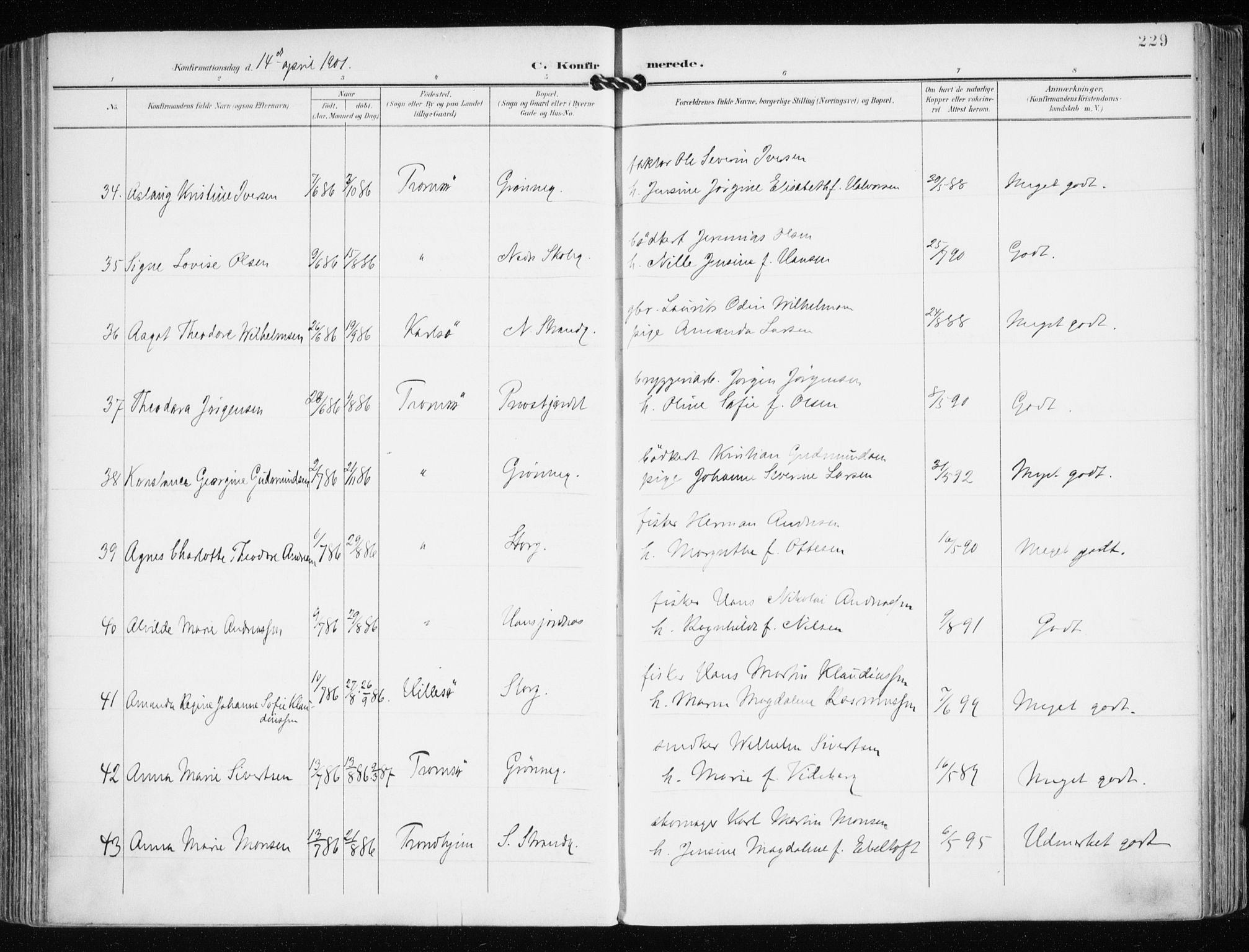 Tromsø sokneprestkontor/stiftsprosti/domprosti, AV/SATØ-S-1343/G/Ga/L0016kirke: Parish register (official) no. 16, 1899-1906, p. 229