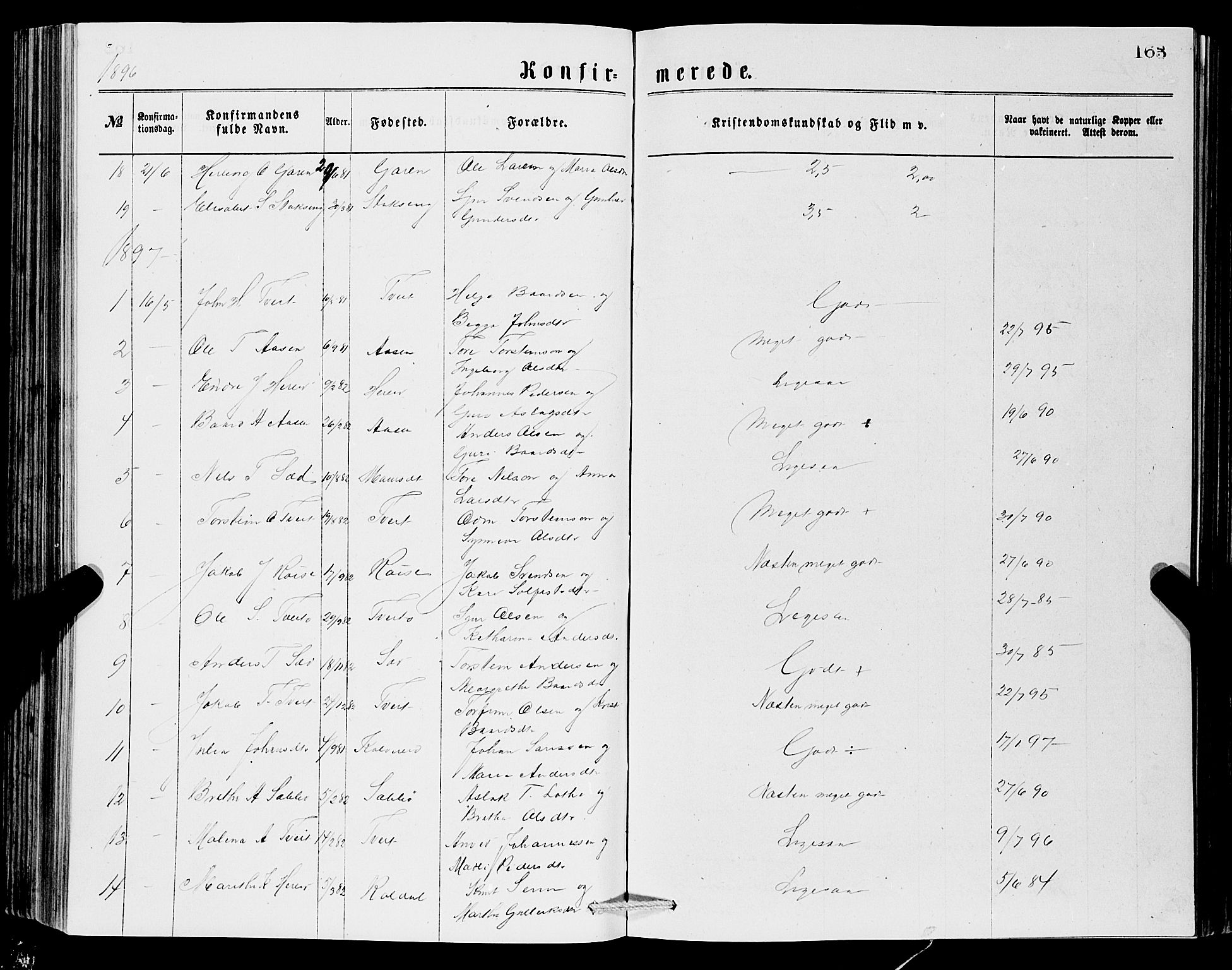 Ullensvang sokneprestembete, SAB/A-78701/H/Hab: Parish register (copy) no. C 2, 1871-1899, p. 163