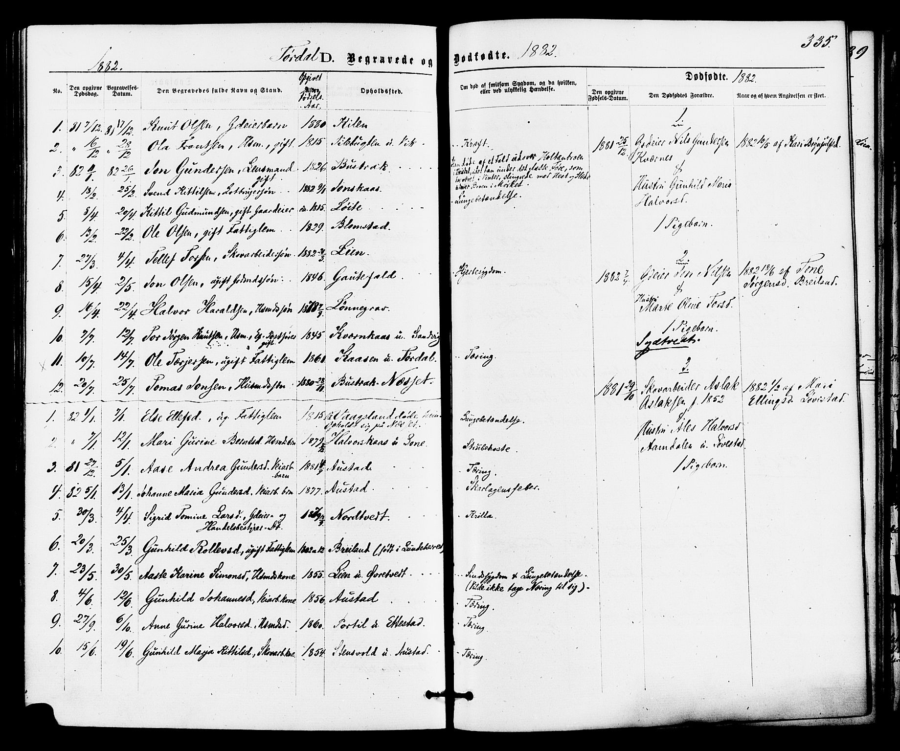 Drangedal kirkebøker, SAKO/A-258/F/Fa/L0009: Parish register (official) no. 9 /2, 1872-1884, p. 335