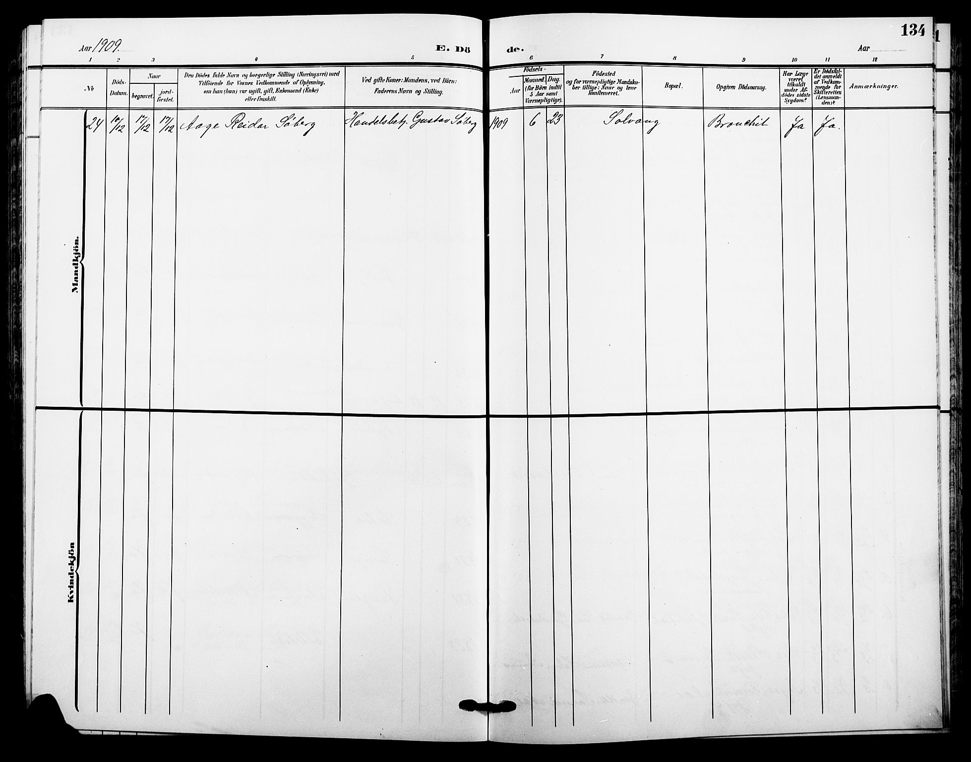 Trysil prestekontor, SAH/PREST-046/H/Ha/Hab/L0009: Parish register (copy) no. 9, 1904-1924, p. 134