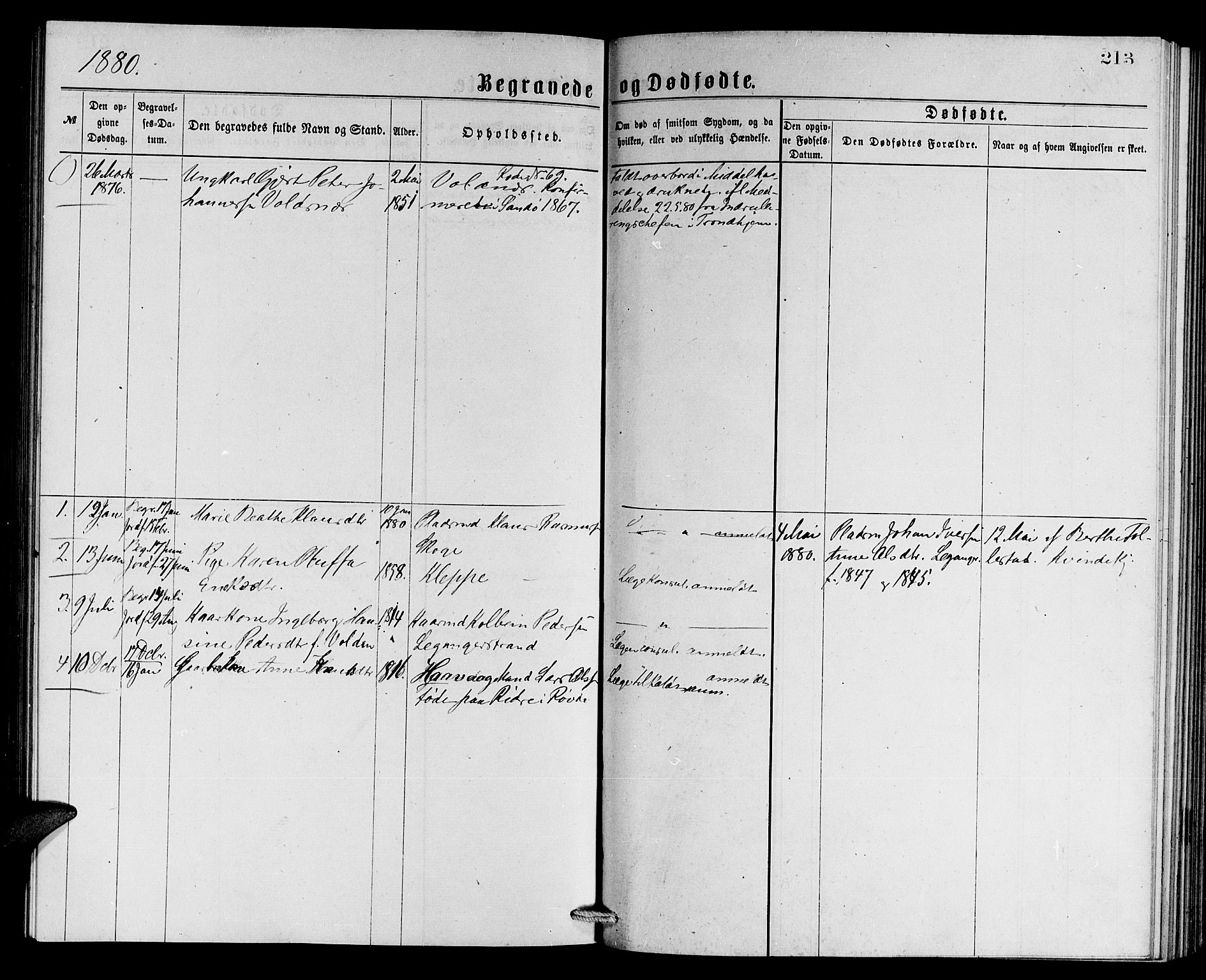 Ministerialprotokoller, klokkerbøker og fødselsregistre - Møre og Romsdal, AV/SAT-A-1454/508/L0094: Parish register (official) no. 508A01, 1873-1886, p. 213