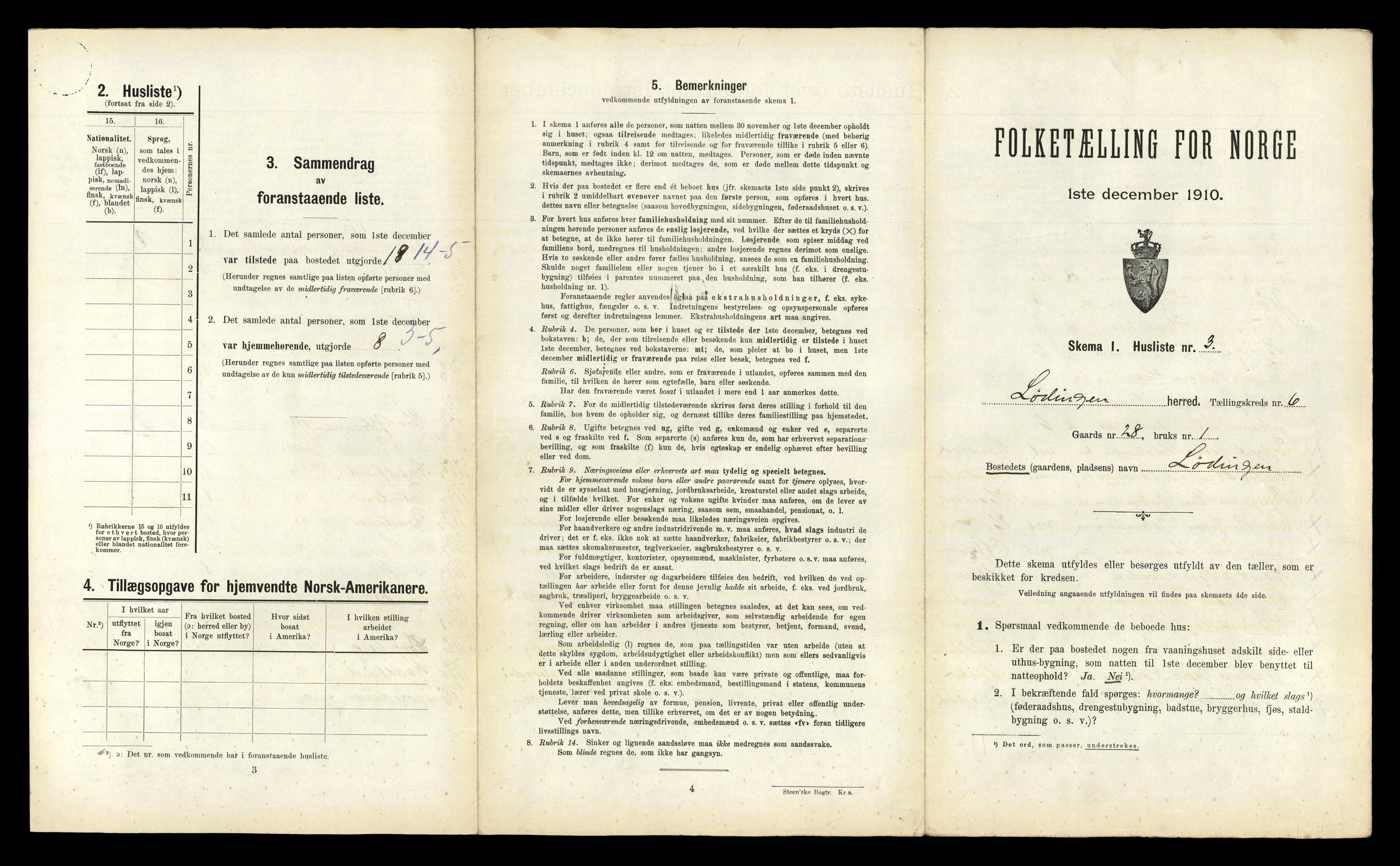 RA, 1910 census for Lødingen, 1910, p. 491