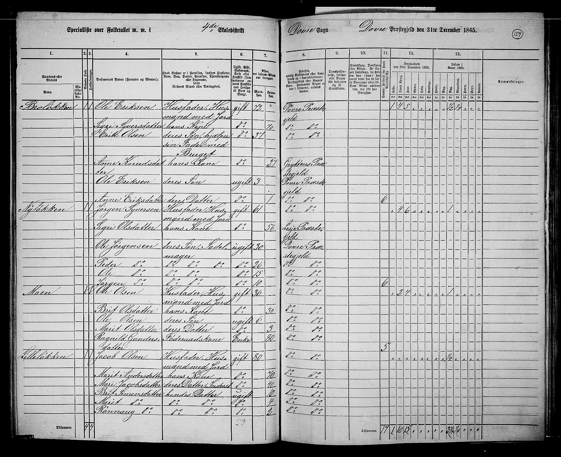 RA, 1865 census for Dovre, 1865, p. 123