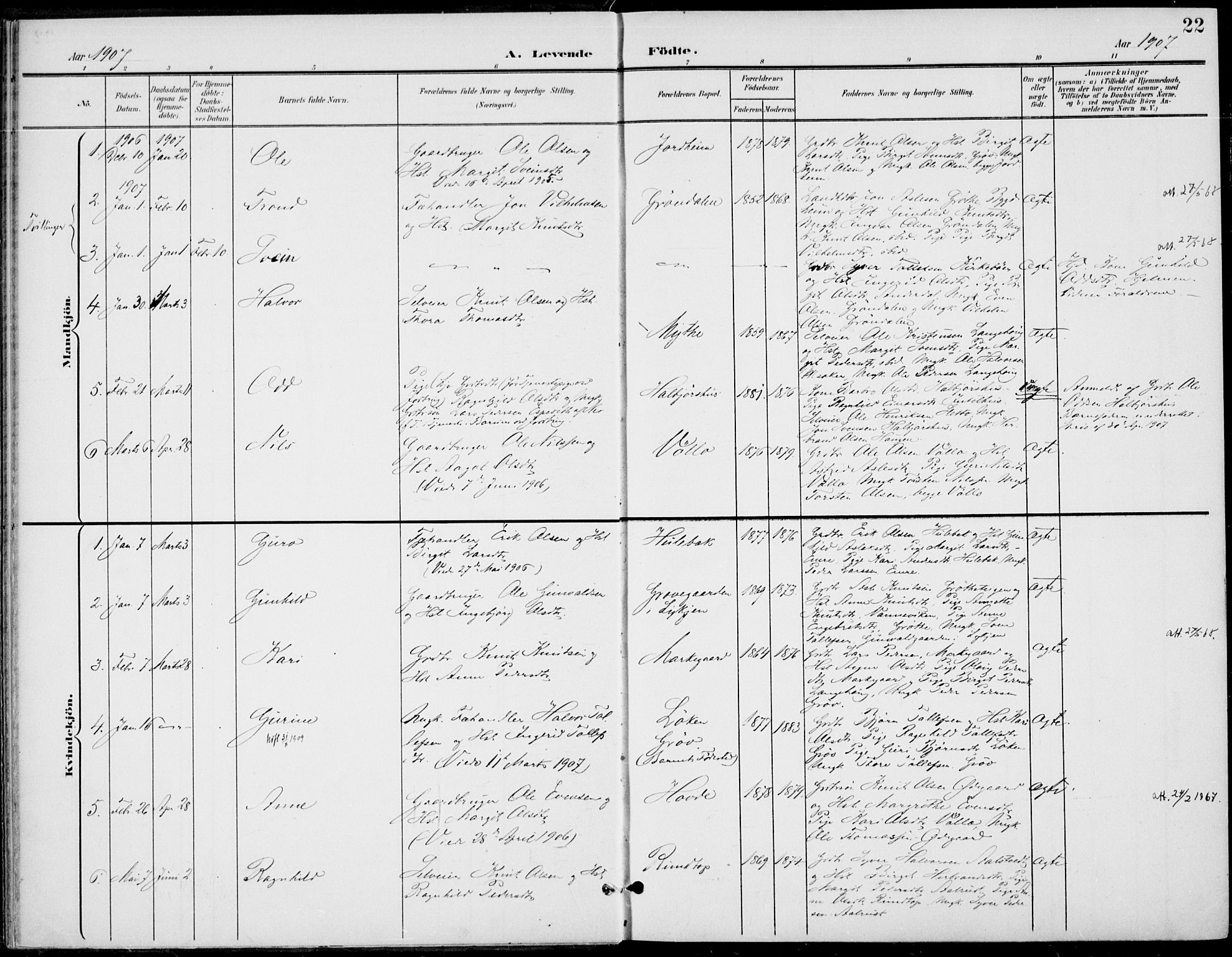 Gol kirkebøker, AV/SAKO-A-226/F/Fb/L0002: Parish register (official) no. II 2, 1900-1921, p. 22