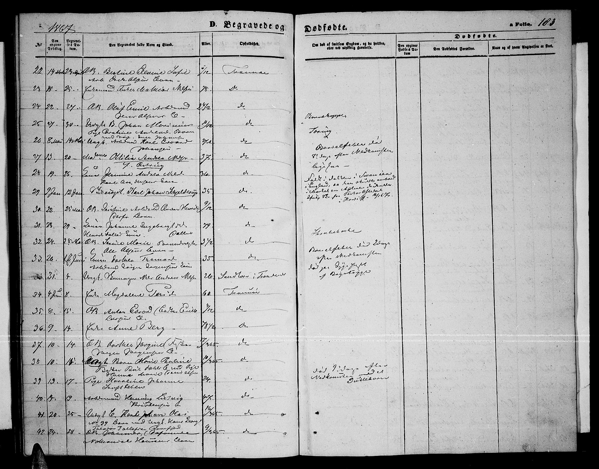 Tromsø sokneprestkontor/stiftsprosti/domprosti, SATØ/S-1343/G/Gb/L0007klokker: Parish register (copy) no. 7, 1867-1875, p. 183