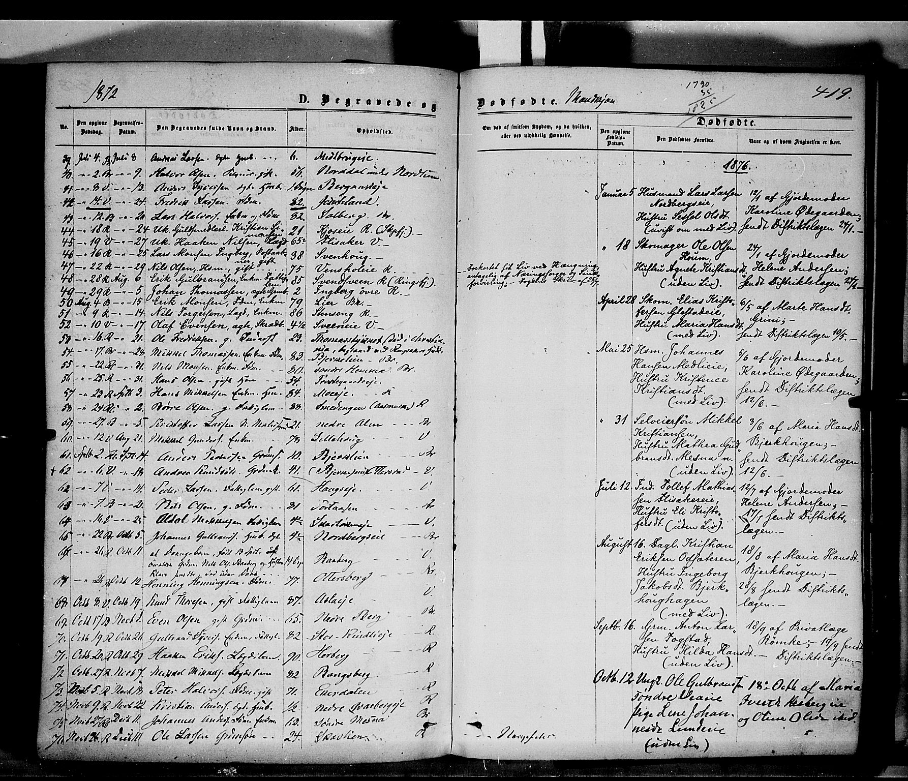 Ringsaker prestekontor, AV/SAH-PREST-014/K/Ka/L0011: Parish register (official) no. 11, 1870-1878, p. 419