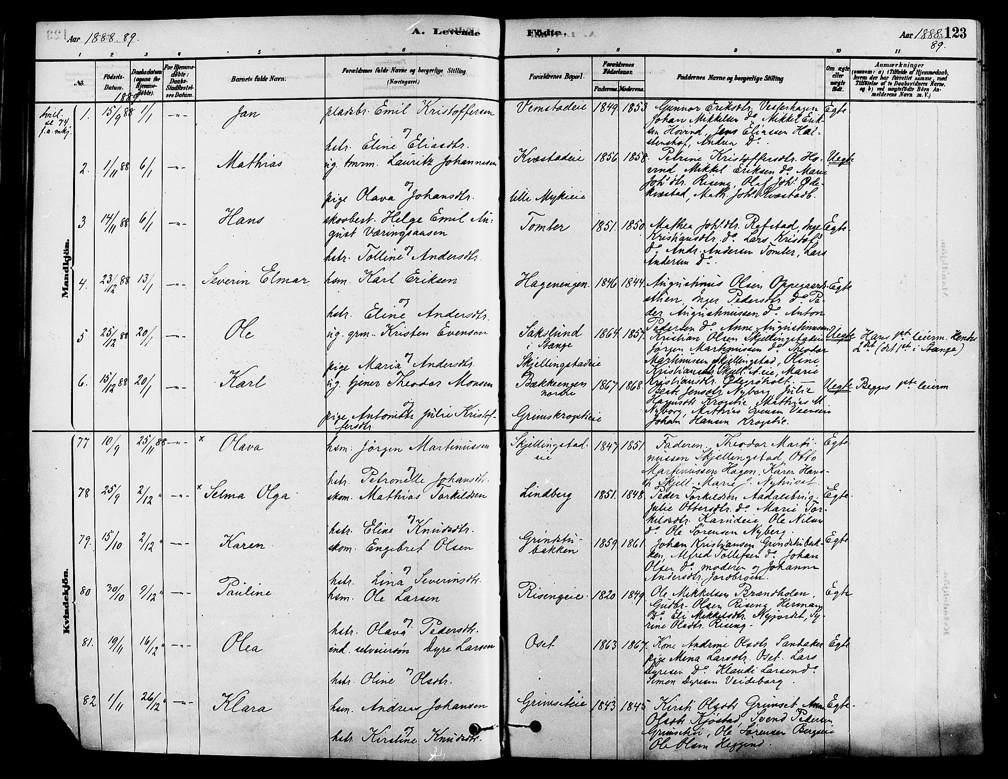 Løten prestekontor, AV/SAH-PREST-022/K/Ka/L0009: Parish register (official) no. 9, 1878-1891, p. 123