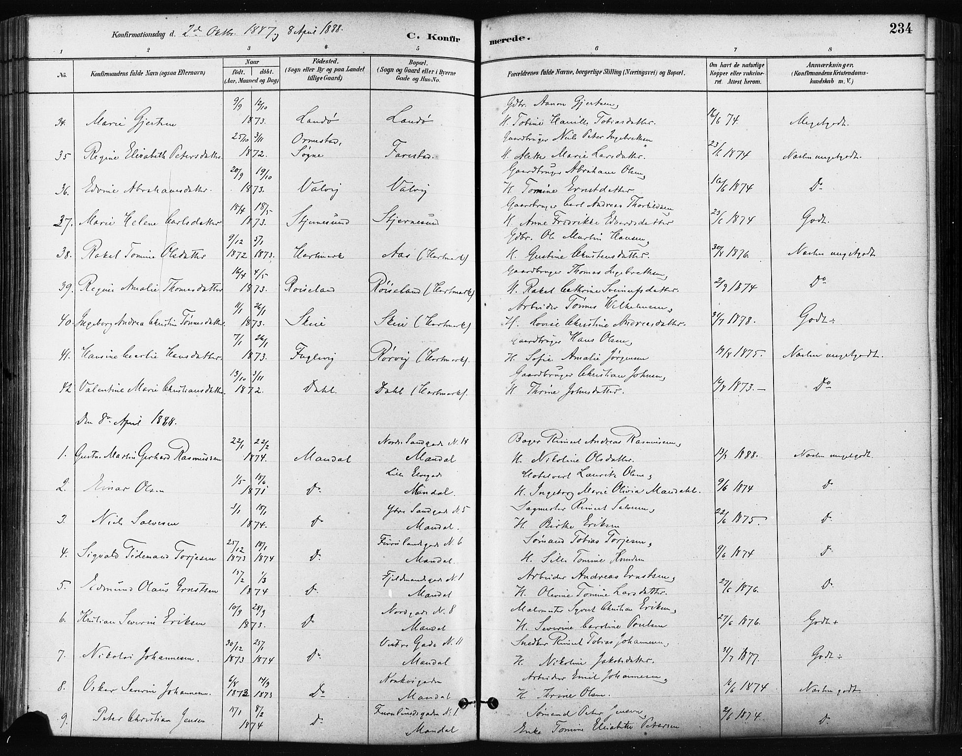 Mandal sokneprestkontor, AV/SAK-1111-0030/F/Fa/Faa/L0016: Parish register (official) no. A 16, 1880-1890, p. 234