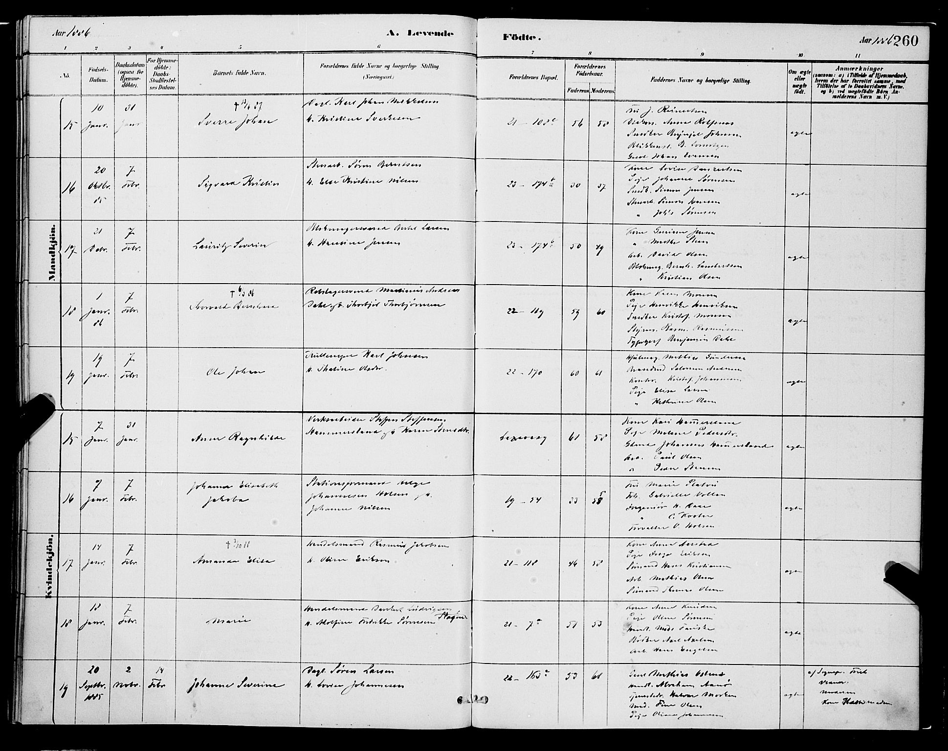 Korskirken sokneprestembete, AV/SAB-A-76101/H/Hab: Parish register (copy) no. B 8, 1878-1887, p. 260