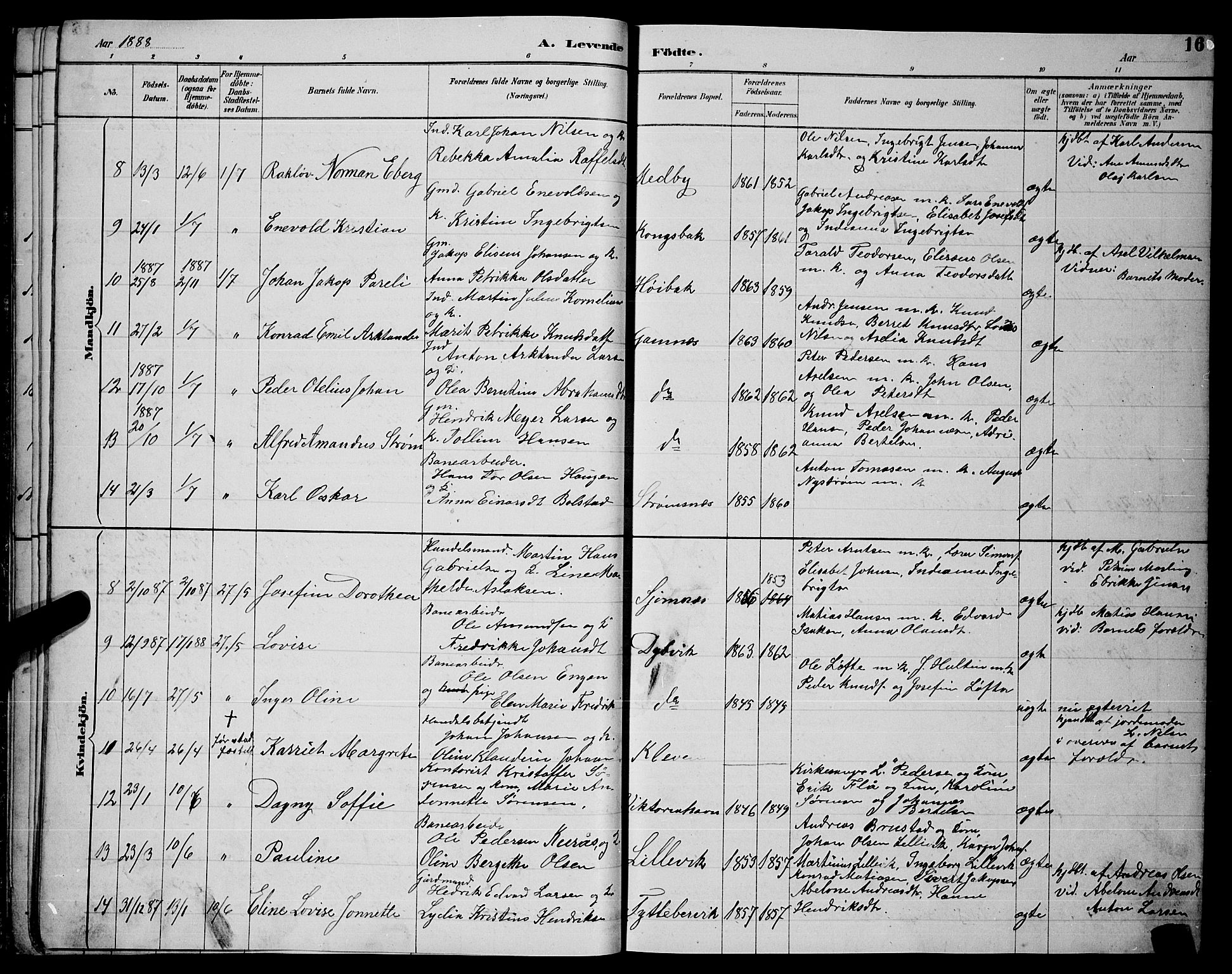 Ministerialprotokoller, klokkerbøker og fødselsregistre - Nordland, AV/SAT-A-1459/866/L0952: Parish register (copy) no. 866C01, 1886-1899, p. 16