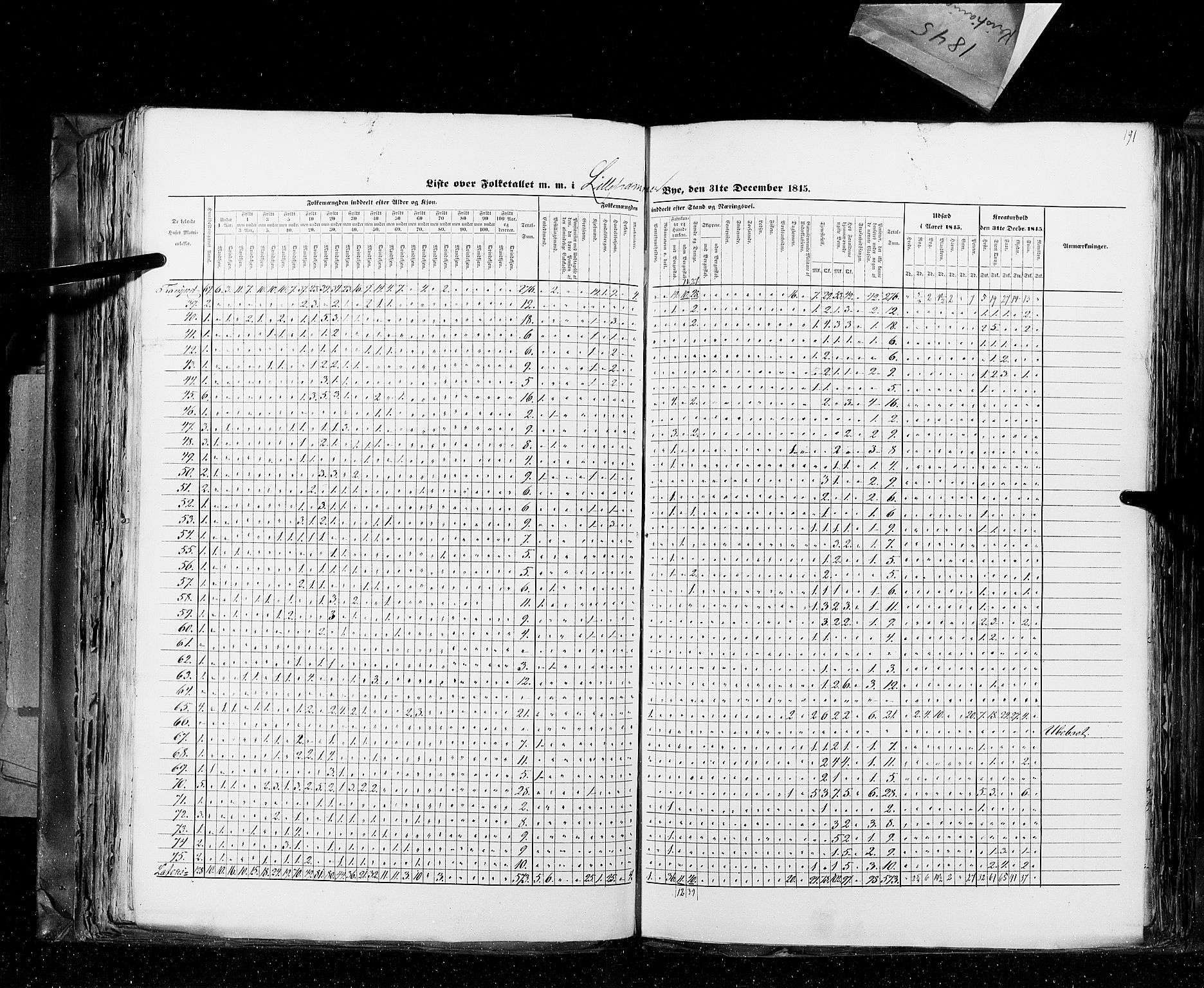 RA, Census 1845, vol. 10: Cities, 1845, p. 191