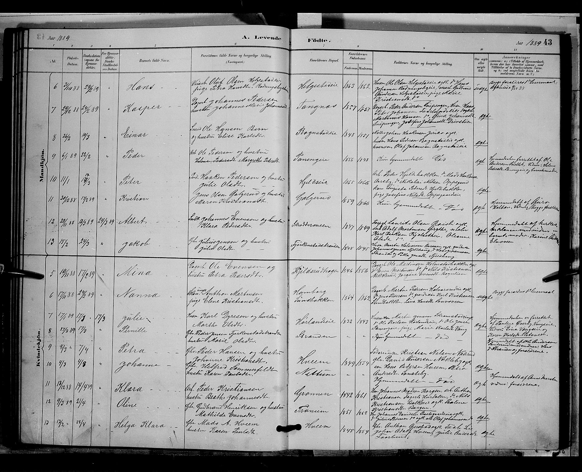 Østre Toten prestekontor, SAH/PREST-104/H/Ha/Hab/L0005: Parish register (copy) no. 5, 1884-1893, p. 43