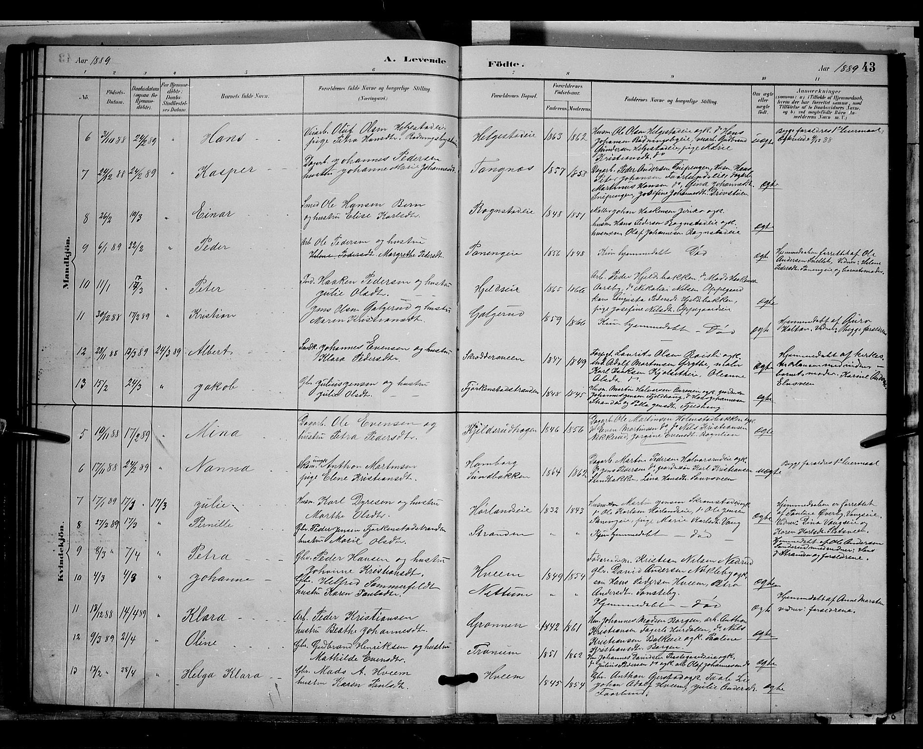 Østre Toten prestekontor, AV/SAH-PREST-104/H/Ha/Hab/L0005: Parish register (copy) no. 5, 1884-1893, p. 43
