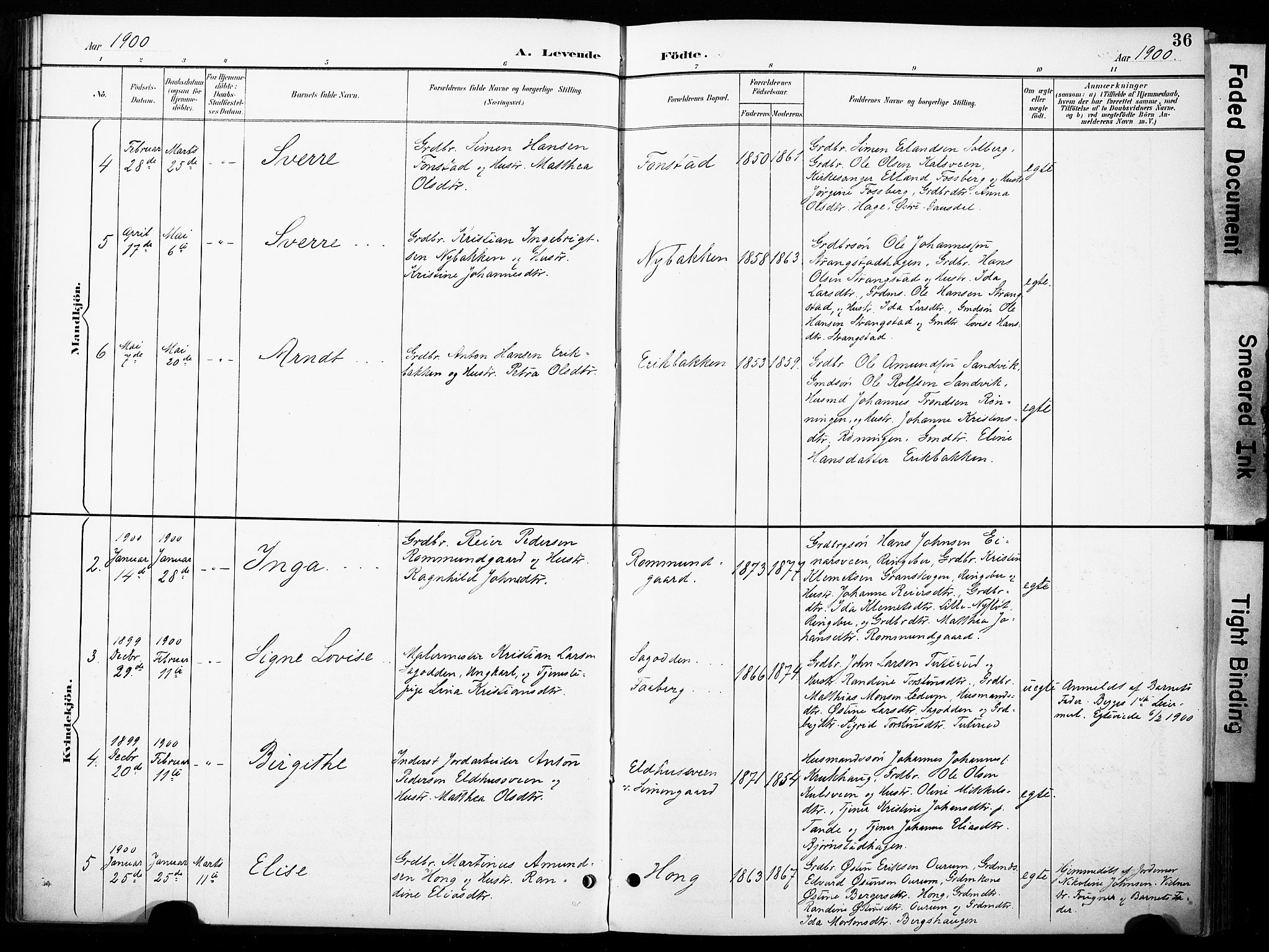 Øyer prestekontor, SAH/PREST-084/H/Ha/Haa/L0011: Parish register (official) no. 11, 1894-1905, p. 36