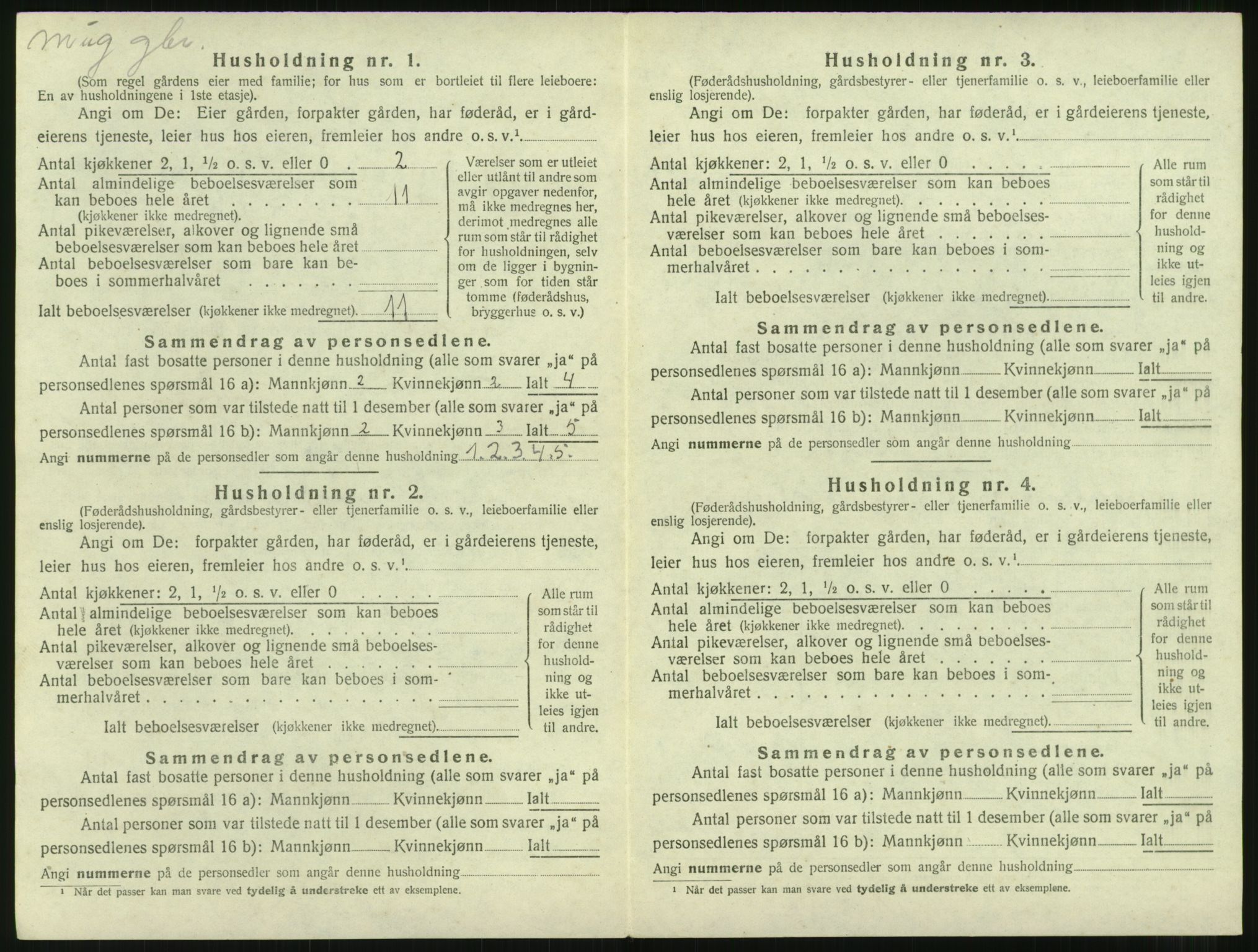 SAT, 1920 census for Nesset, 1920, p. 513