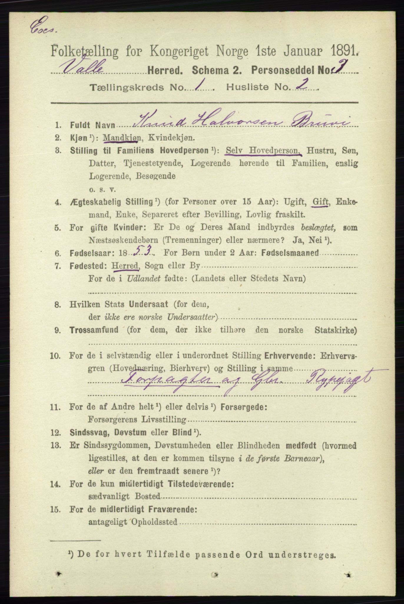 RA, Census 1891 for Nedenes amt: Gjenparter av personsedler for beslektede ektefeller, menn, 1891, p. 1046