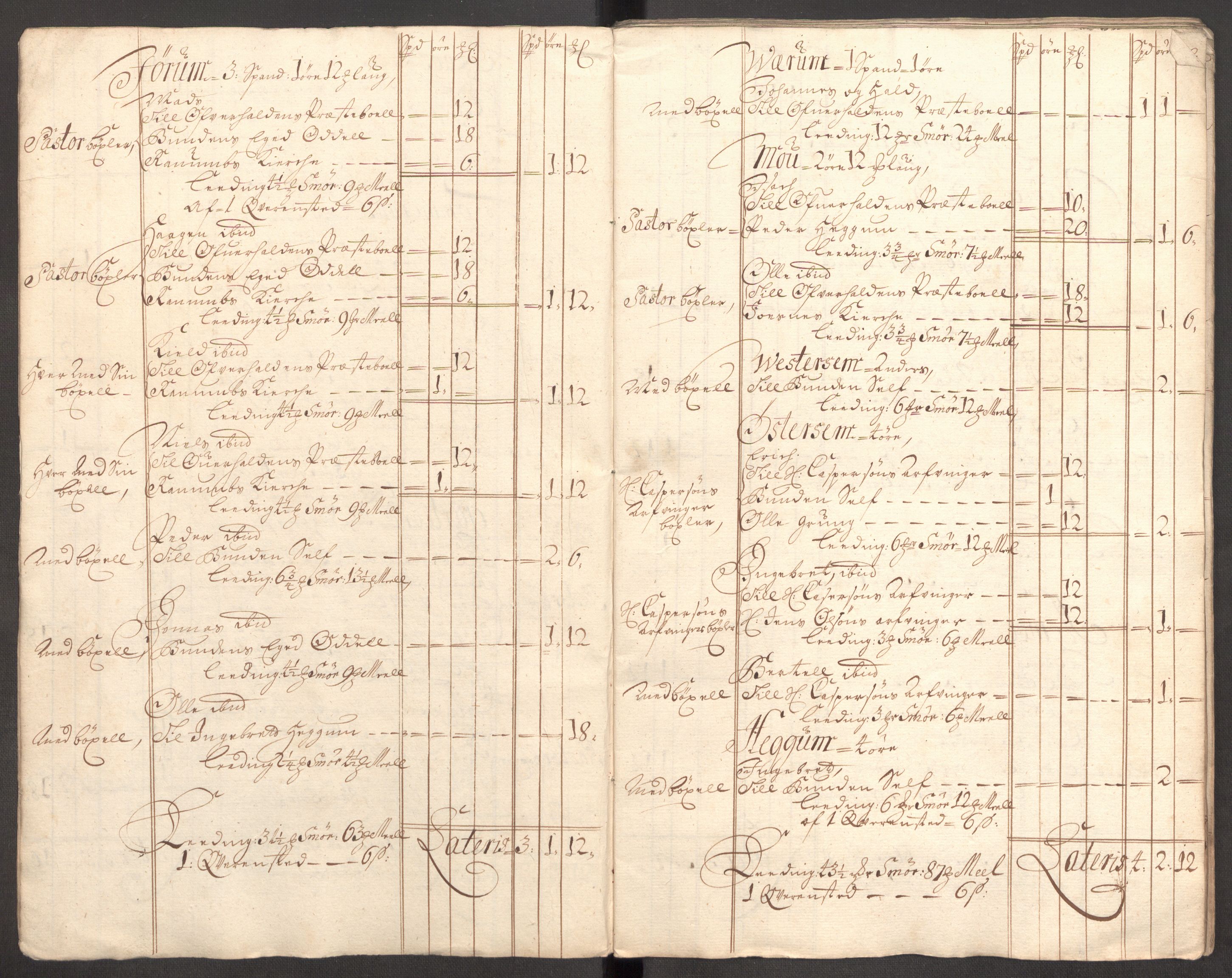 Rentekammeret inntil 1814, Reviderte regnskaper, Fogderegnskap, AV/RA-EA-4092/R64/L4429: Fogderegnskap Namdal, 1705-1706, p. 17