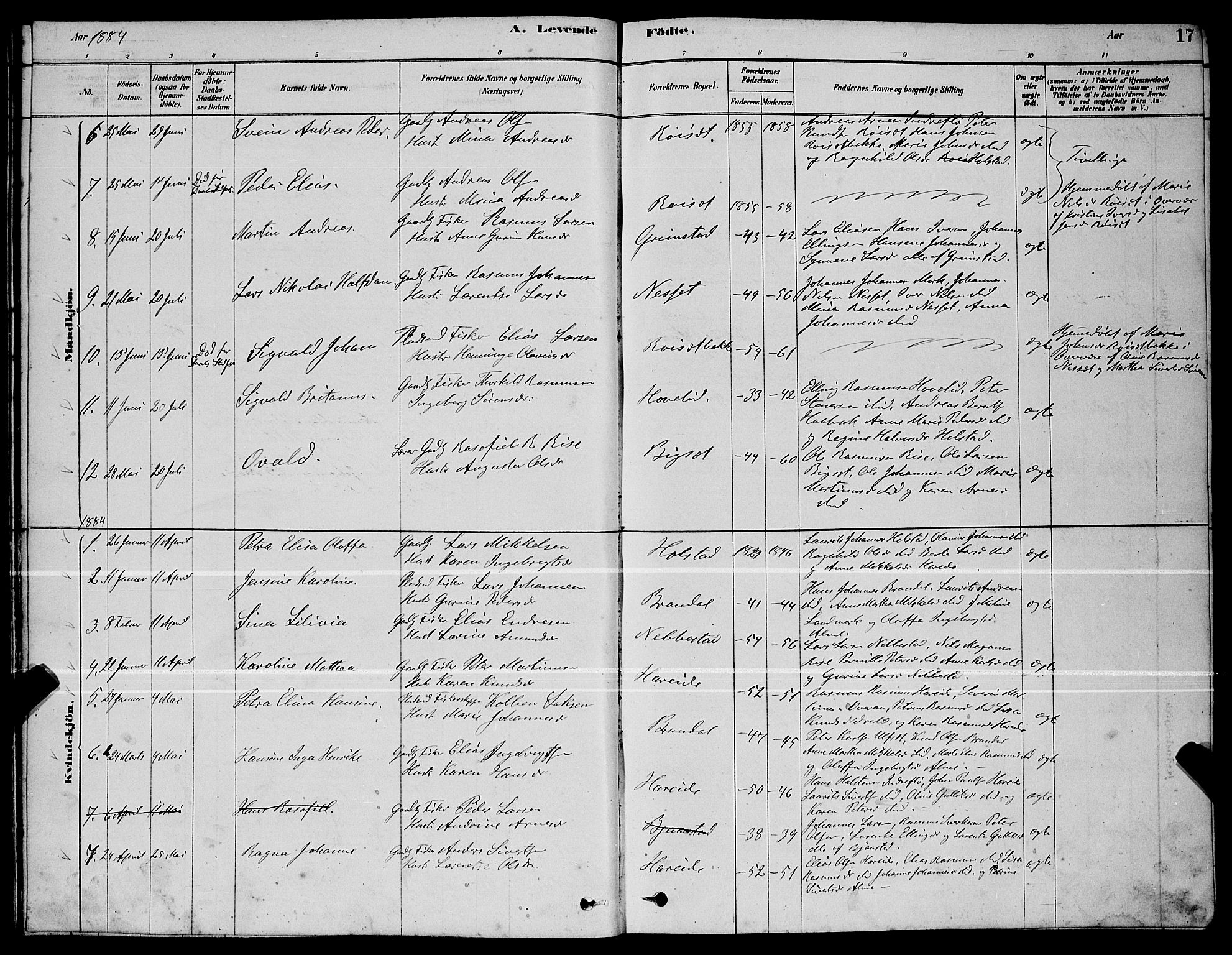 Ministerialprotokoller, klokkerbøker og fødselsregistre - Møre og Romsdal, AV/SAT-A-1454/510/L0125: Parish register (copy) no. 510C02, 1878-1900, p. 17
