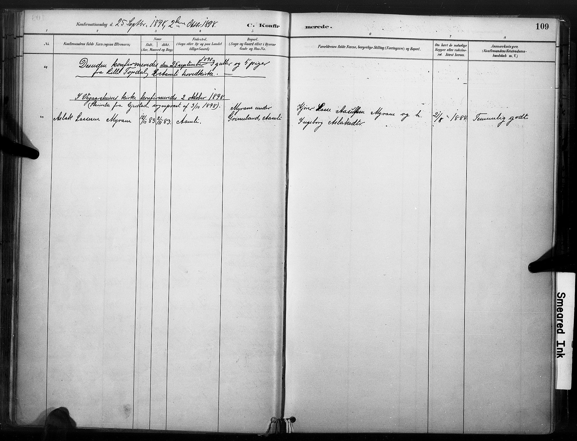 Åmli sokneprestkontor, AV/SAK-1111-0050/F/Fa/Fac/L0010: Parish register (official) no. A 10 /1, 1885-1899, p. 109