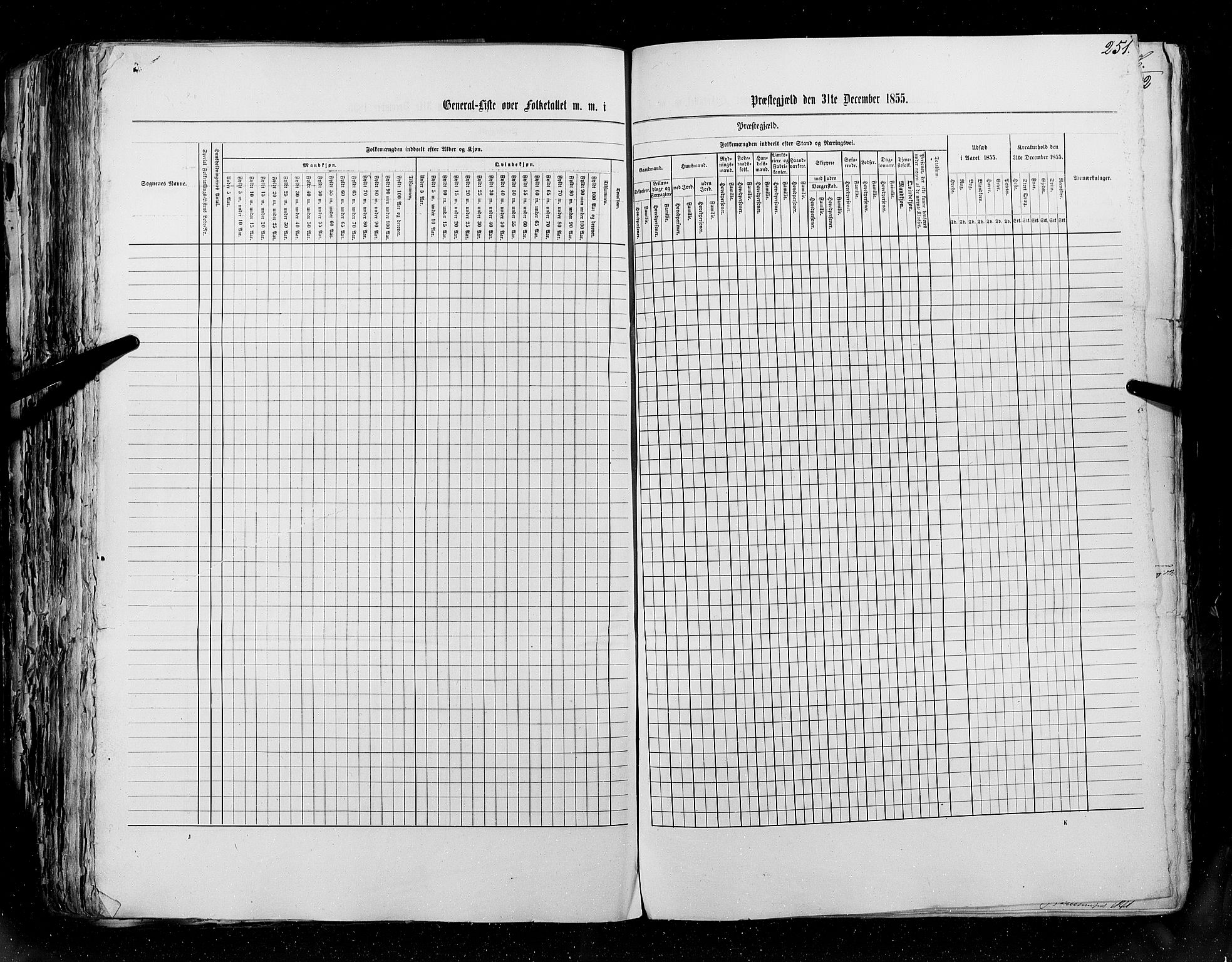 RA, Census 1855, vol. 5: Nordre Bergenhus amt, Romsdal amt og Søndre Trondhjem amt, 1855, p. 251