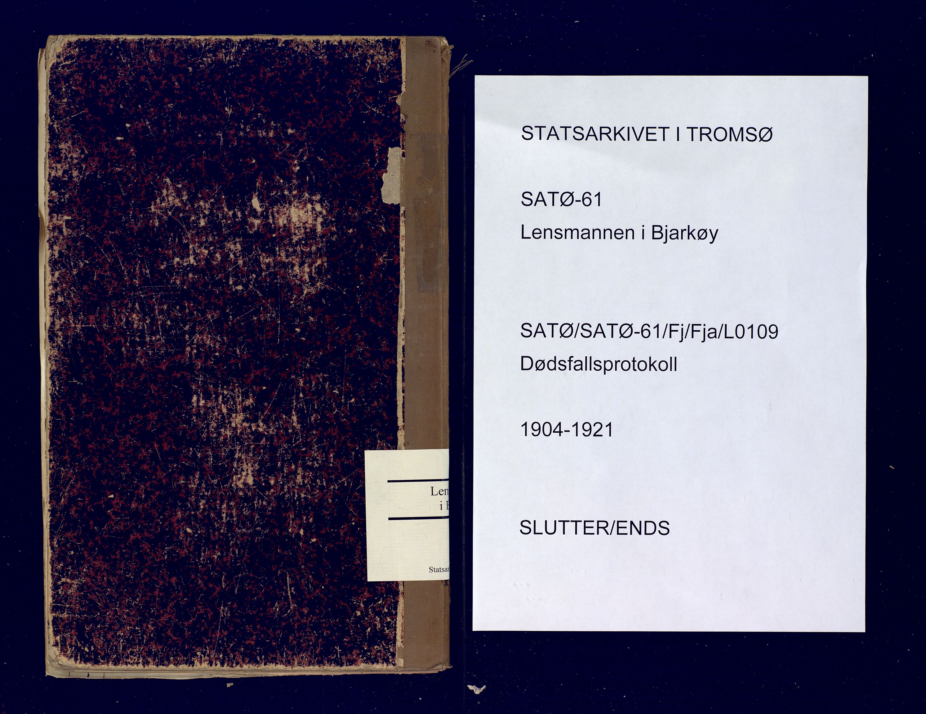 Bjarkøy lensmannskontor, SATØ/SATØ-61/F/Fj/Fja/L0109: Dødsfallsprotokoll, 1904-1921