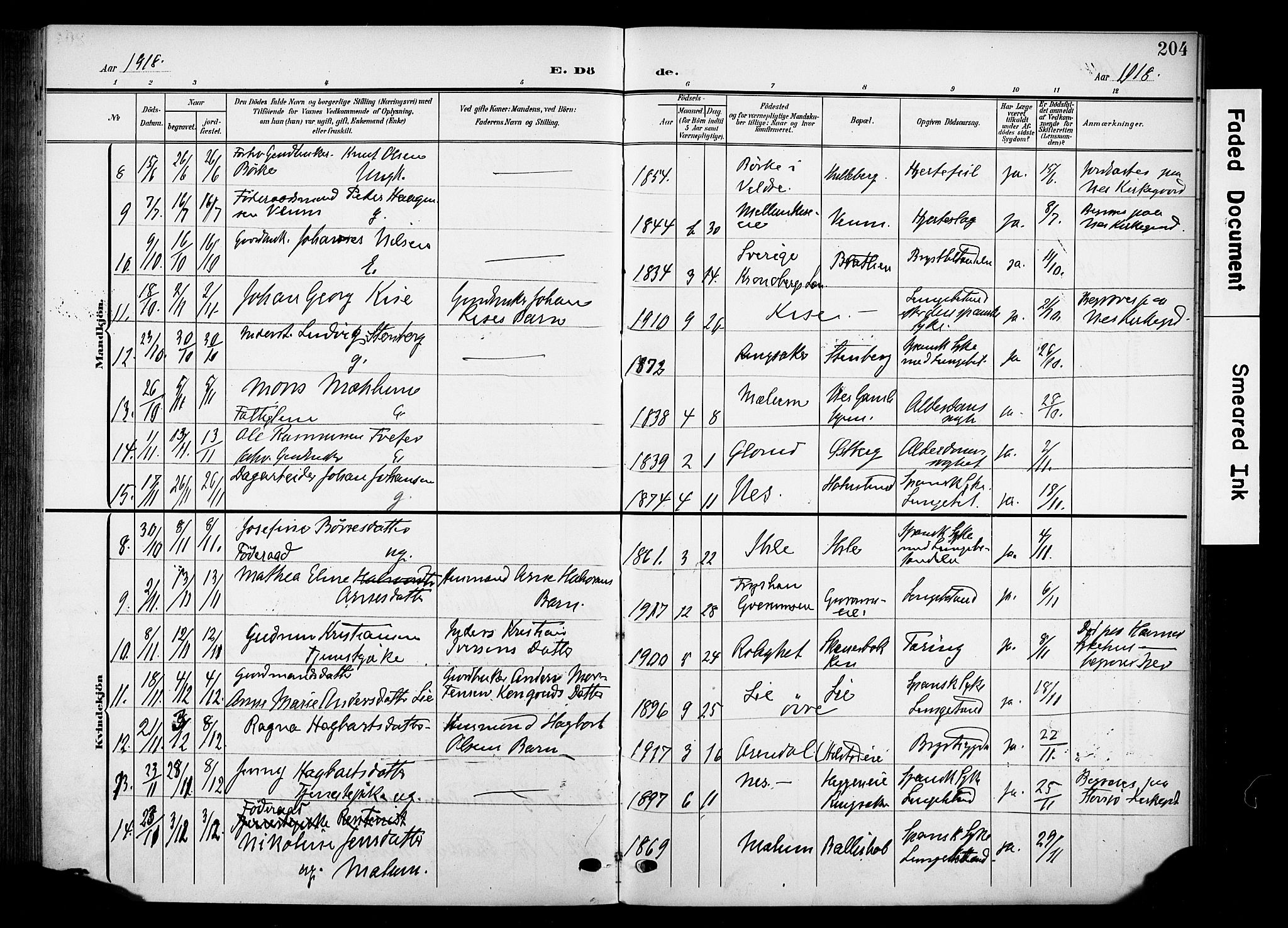 Nes prestekontor, Hedmark, SAH/PREST-020/K/Ka/L0013: Parish register (official) no. 13, 1906-1924, p. 204