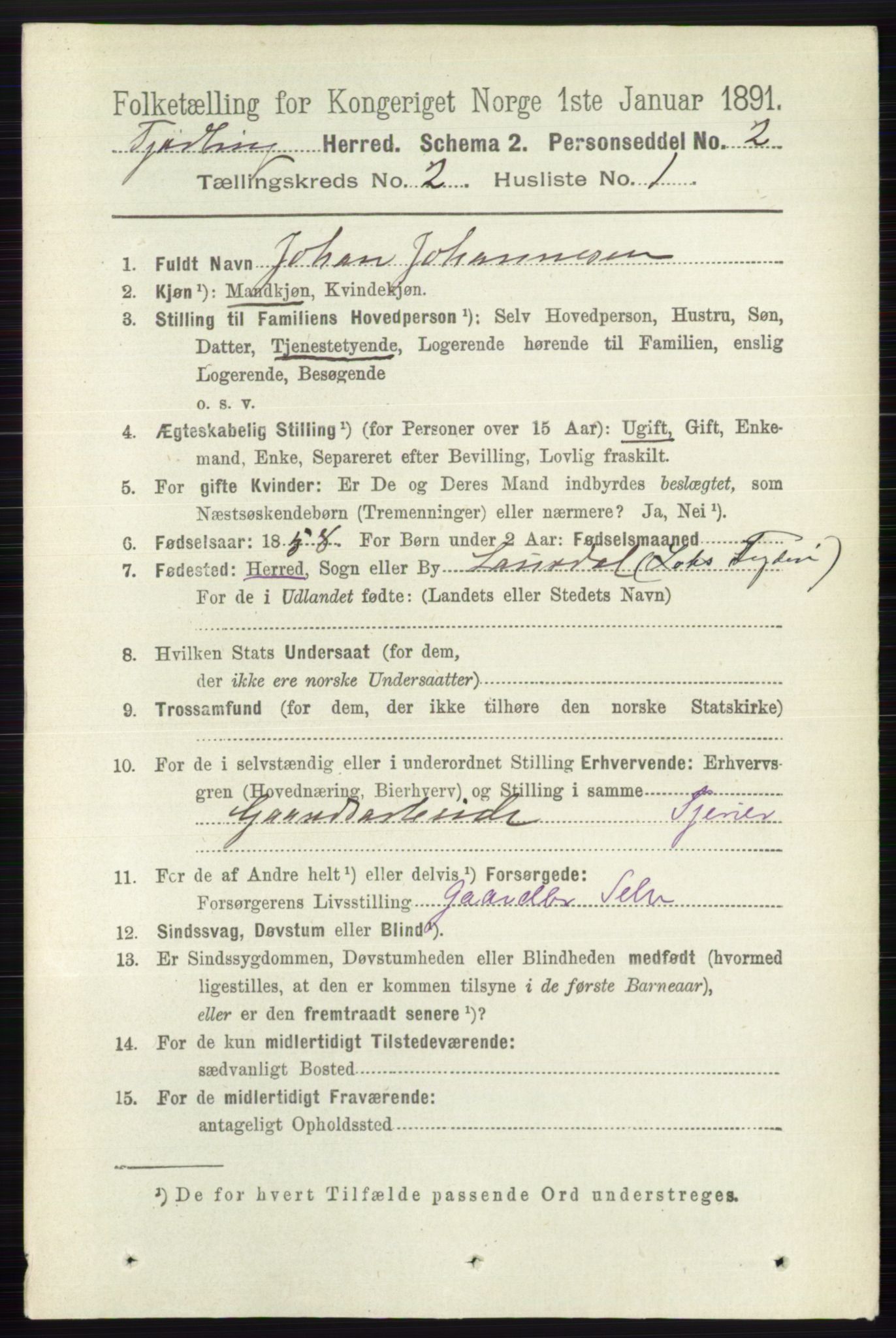 RA, 1891 census for 0725 Tjølling, 1891, p. 501