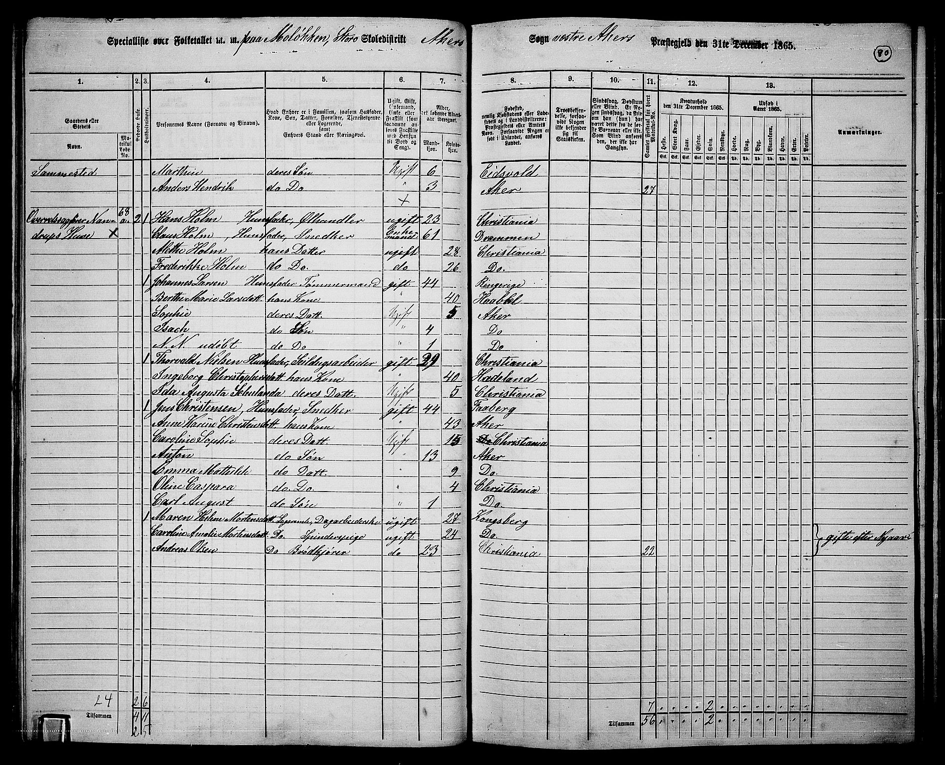 RA, 1865 census for Vestre Aker, 1865, p. 248