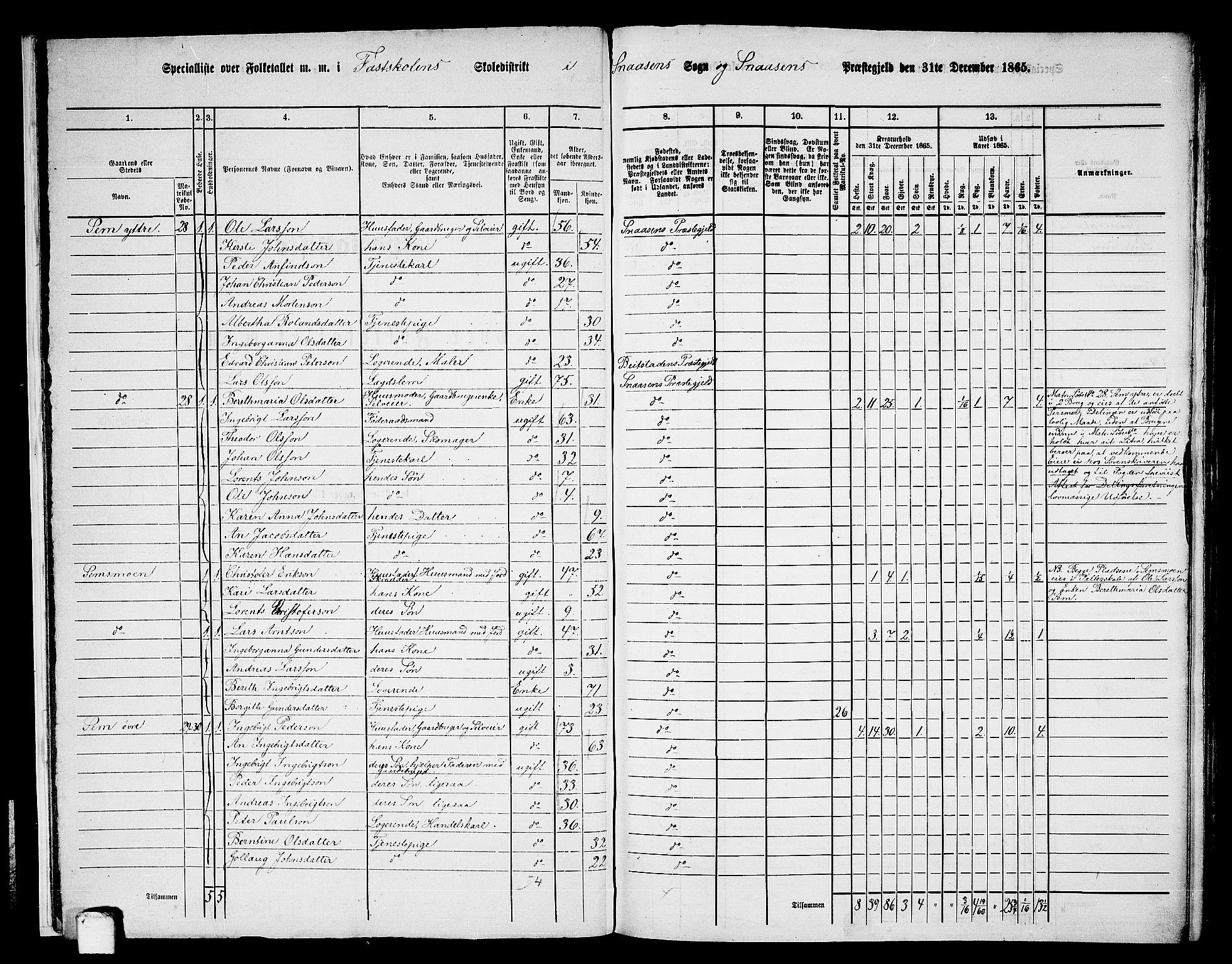 RA, 1865 census for Snåsa, 1865, p. 11