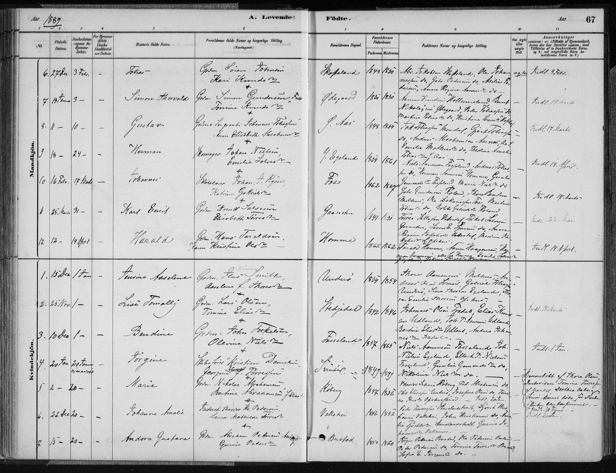 Sør-Audnedal sokneprestkontor, AV/SAK-1111-0039/F/Fa/Fab/L0009: Parish register (official) no. A 9, 1880-1895, p. 67