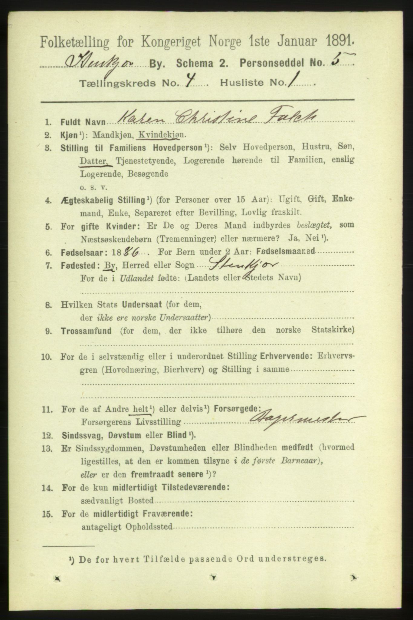 RA, 1891 census for 1702 Steinkjer, 1891, p. 1268