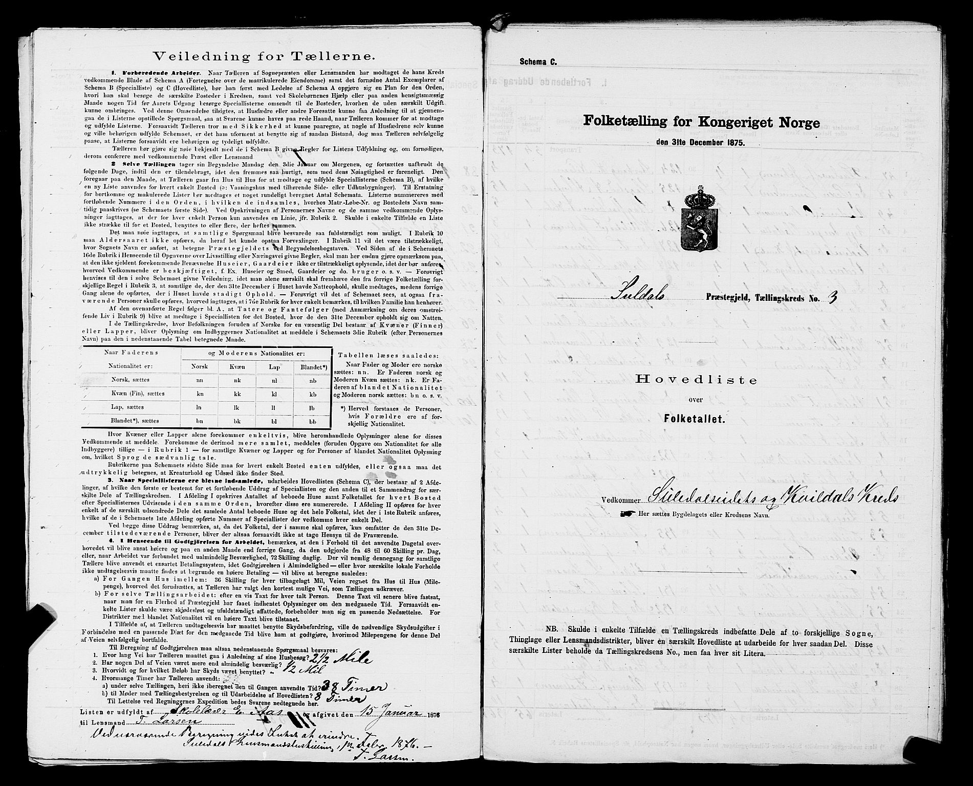 SAST, 1875 census for 1134P Suldal, 1875, p. 12