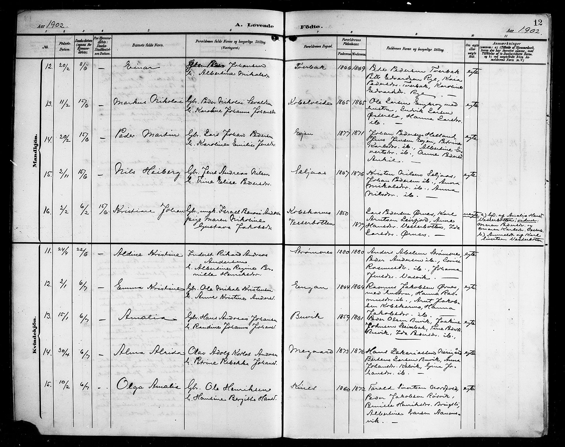 Ministerialprotokoller, klokkerbøker og fødselsregistre - Nordland, AV/SAT-A-1459/854/L0786: Parish register (copy) no. 854C02, 1901-1912, p. 12