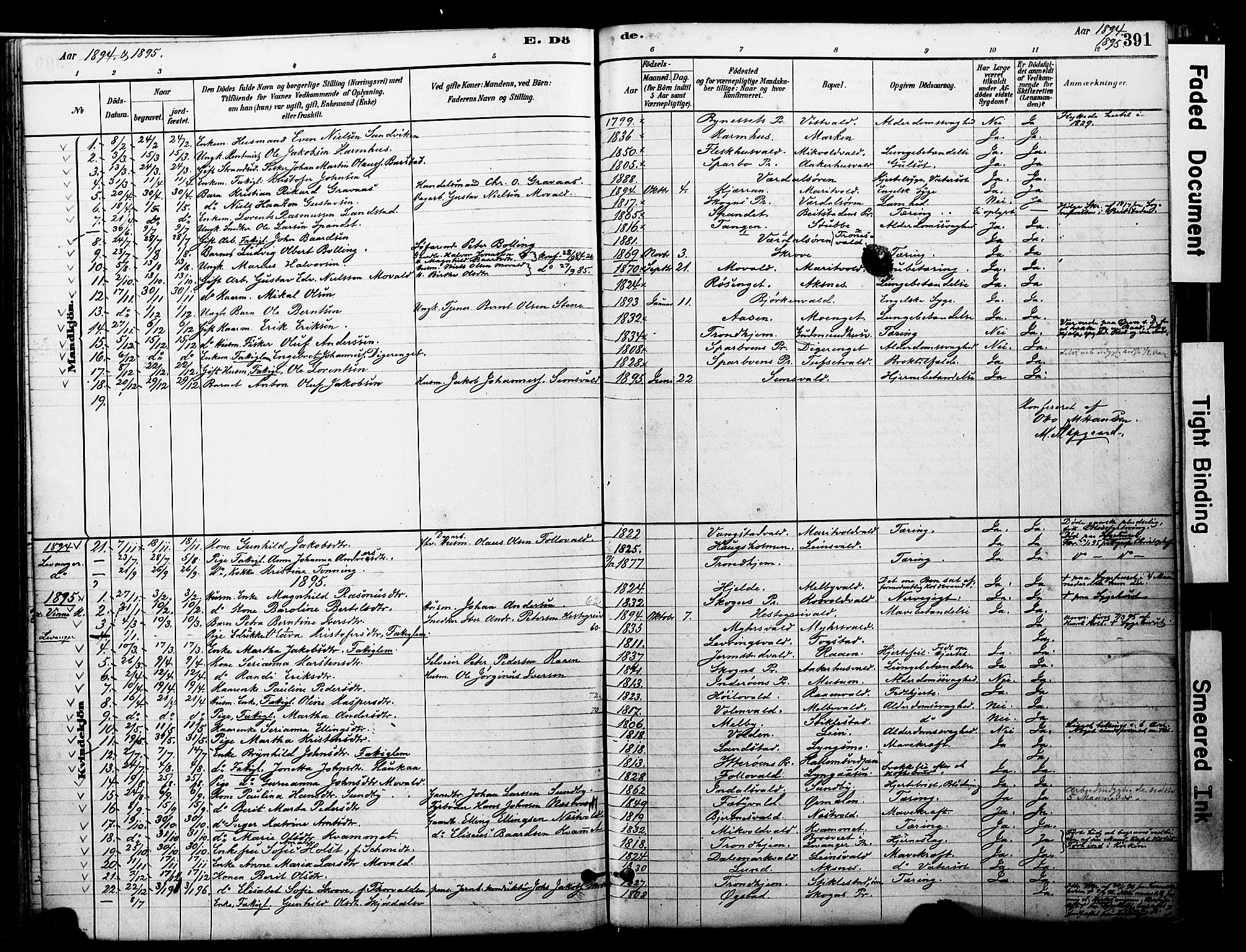 Ministerialprotokoller, klokkerbøker og fødselsregistre - Nord-Trøndelag, SAT/A-1458/723/L0244: Parish register (official) no. 723A13, 1881-1899, p. 391