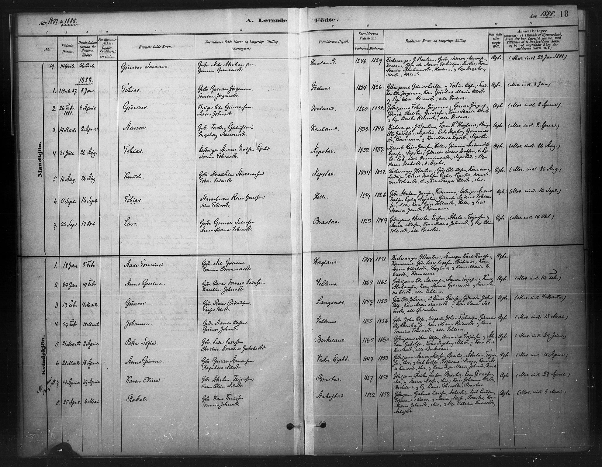 Nord-Audnedal sokneprestkontor, SAK/1111-0032/F/Fa/Faa/L0003: Parish register (official) no. A 3, 1882-1900, p. 13