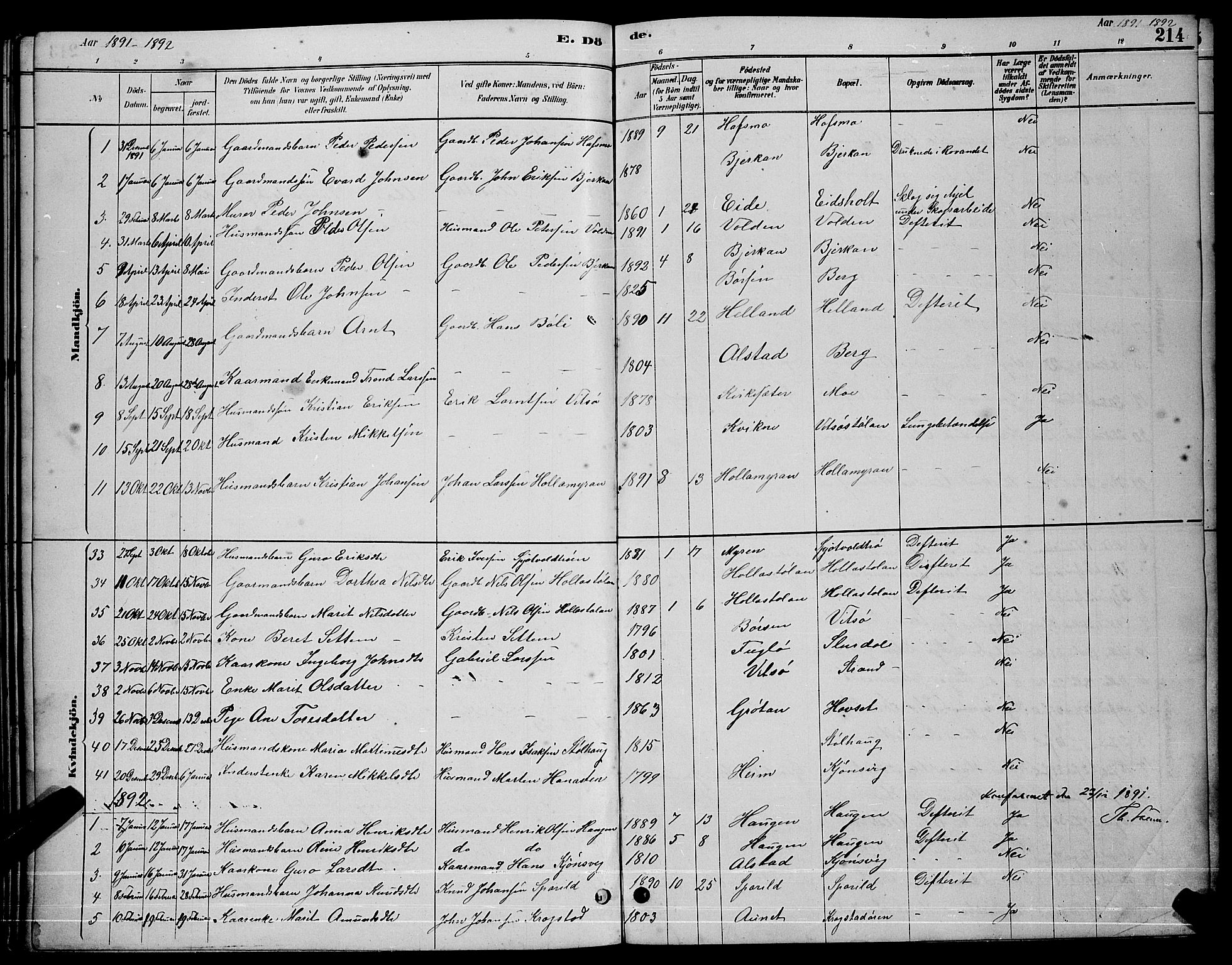 Ministerialprotokoller, klokkerbøker og fødselsregistre - Sør-Trøndelag, AV/SAT-A-1456/630/L0504: Parish register (copy) no. 630C02, 1879-1898, p. 214