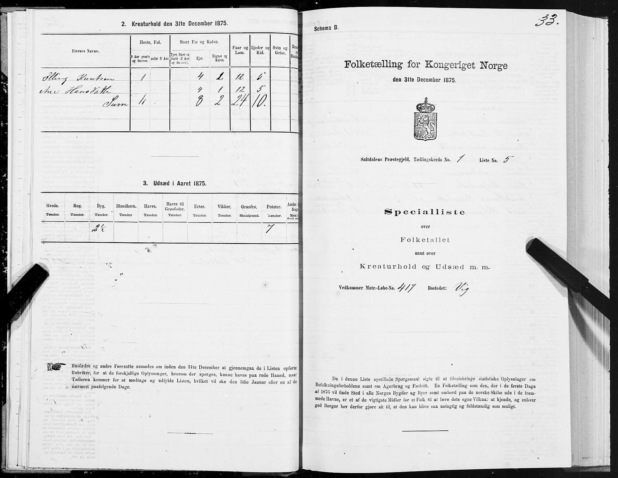 SAT, 1875 census for 1840P Saltdal, 1875, p. 1033