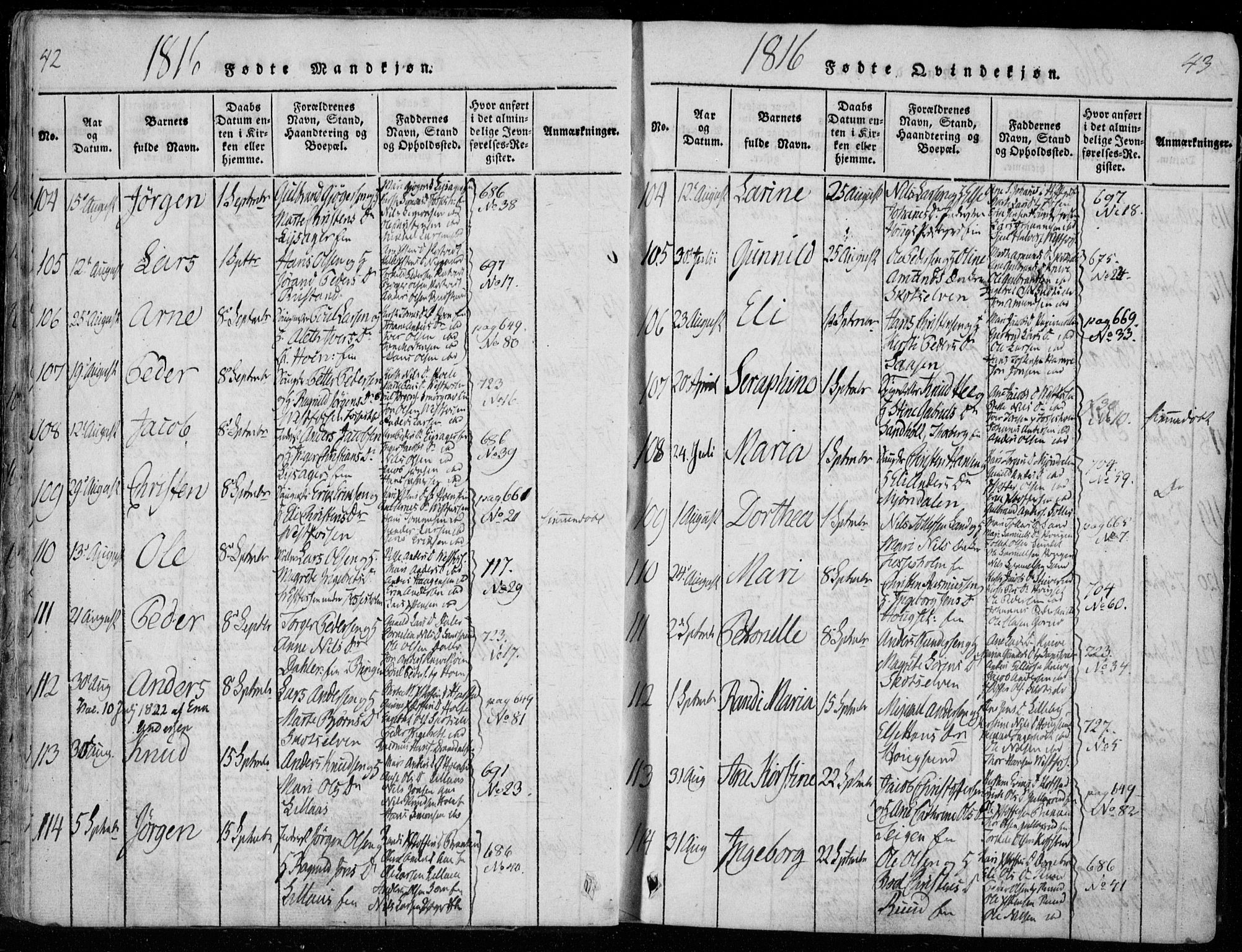 Eiker kirkebøker, AV/SAKO-A-4/F/Fa/L0011: Parish register (official) no. I 11, 1814-1827, p. 42-43