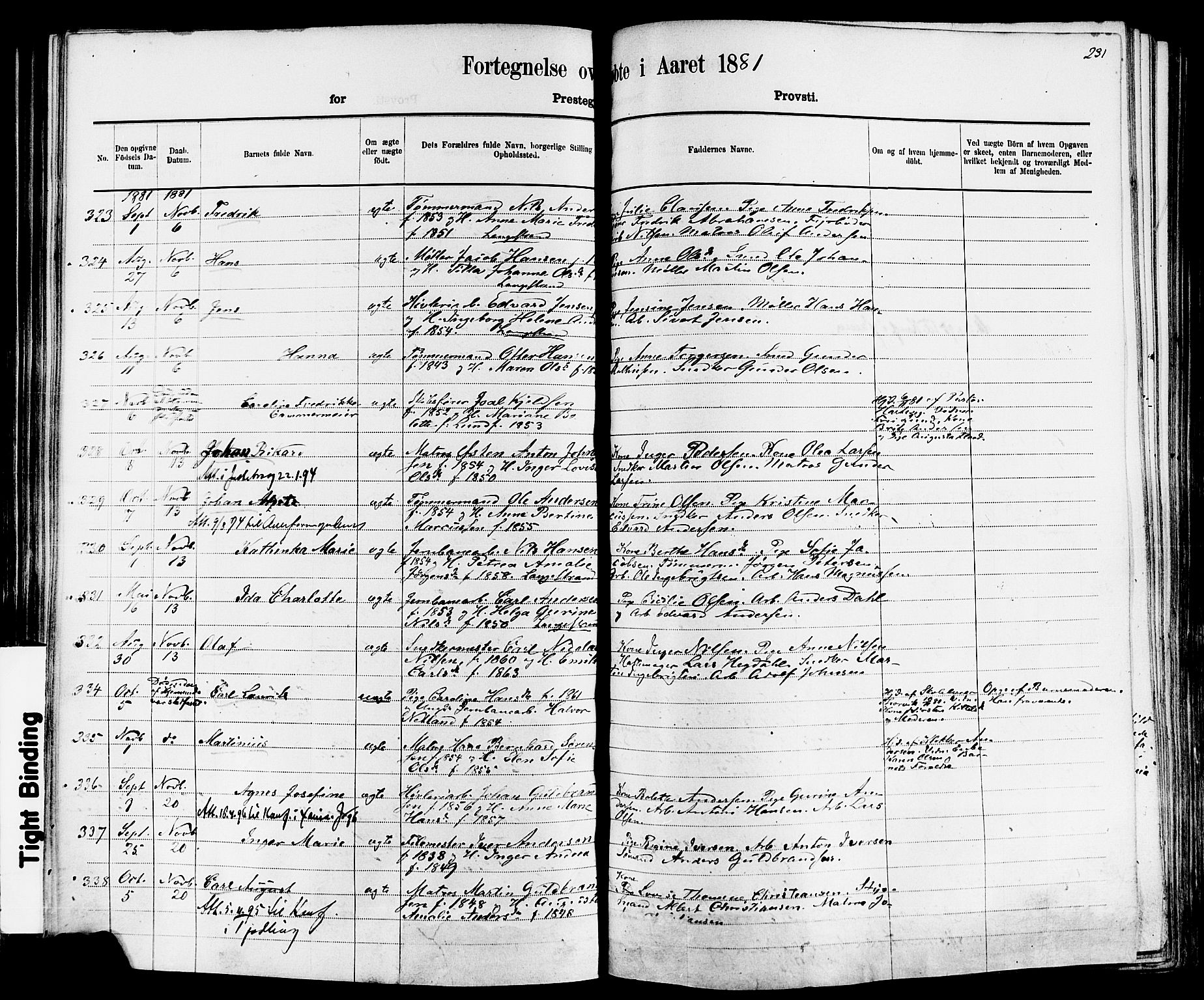 Larvik kirkebøker, AV/SAKO-A-352/F/Fa/L0006: Parish register (official) no. I 6, 1871-1883, p. 231